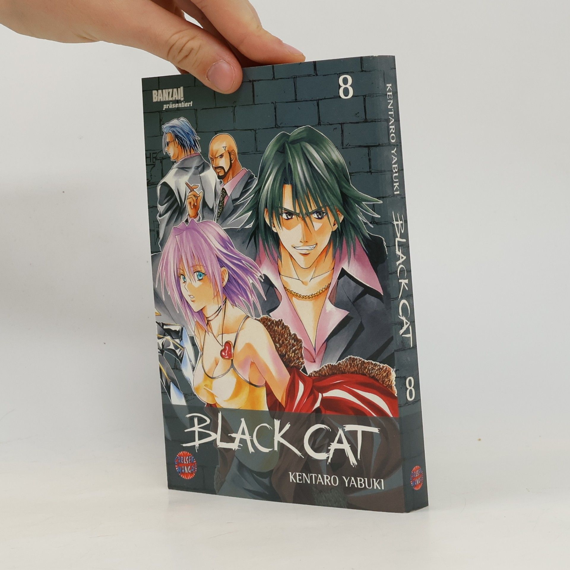 Kentarō Yabuki Black Cat 8