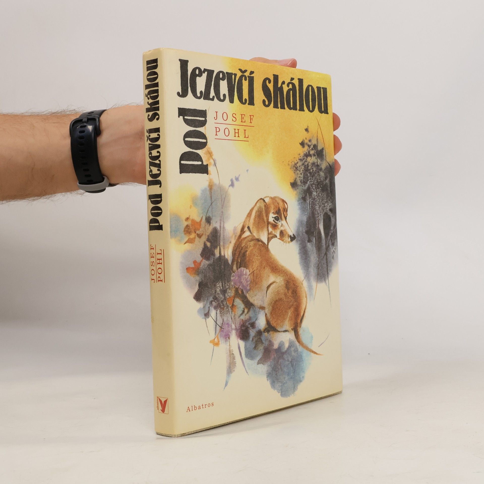 Josef Pohl Pod Jezevčí skálou