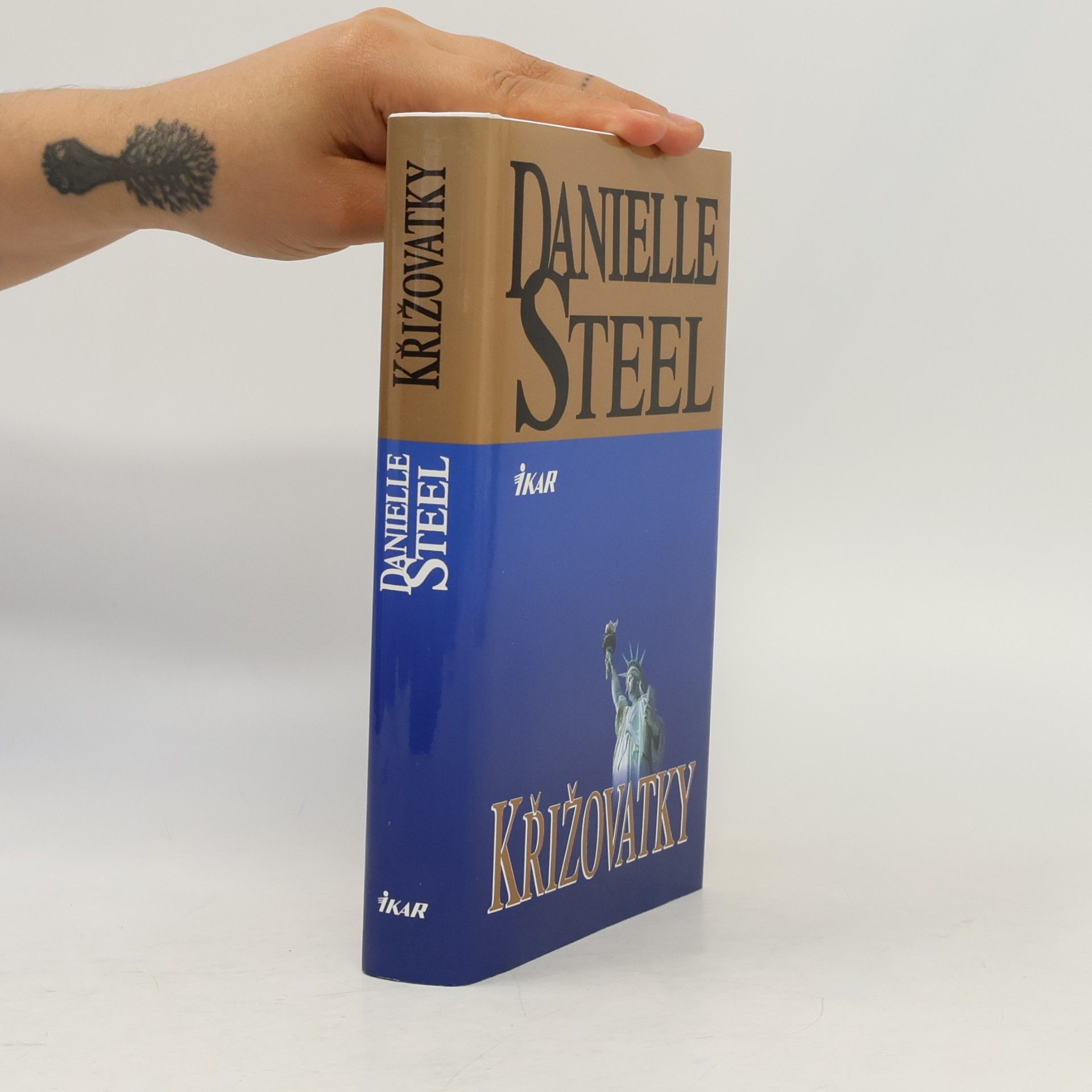 Danielle Steel Křižovatky