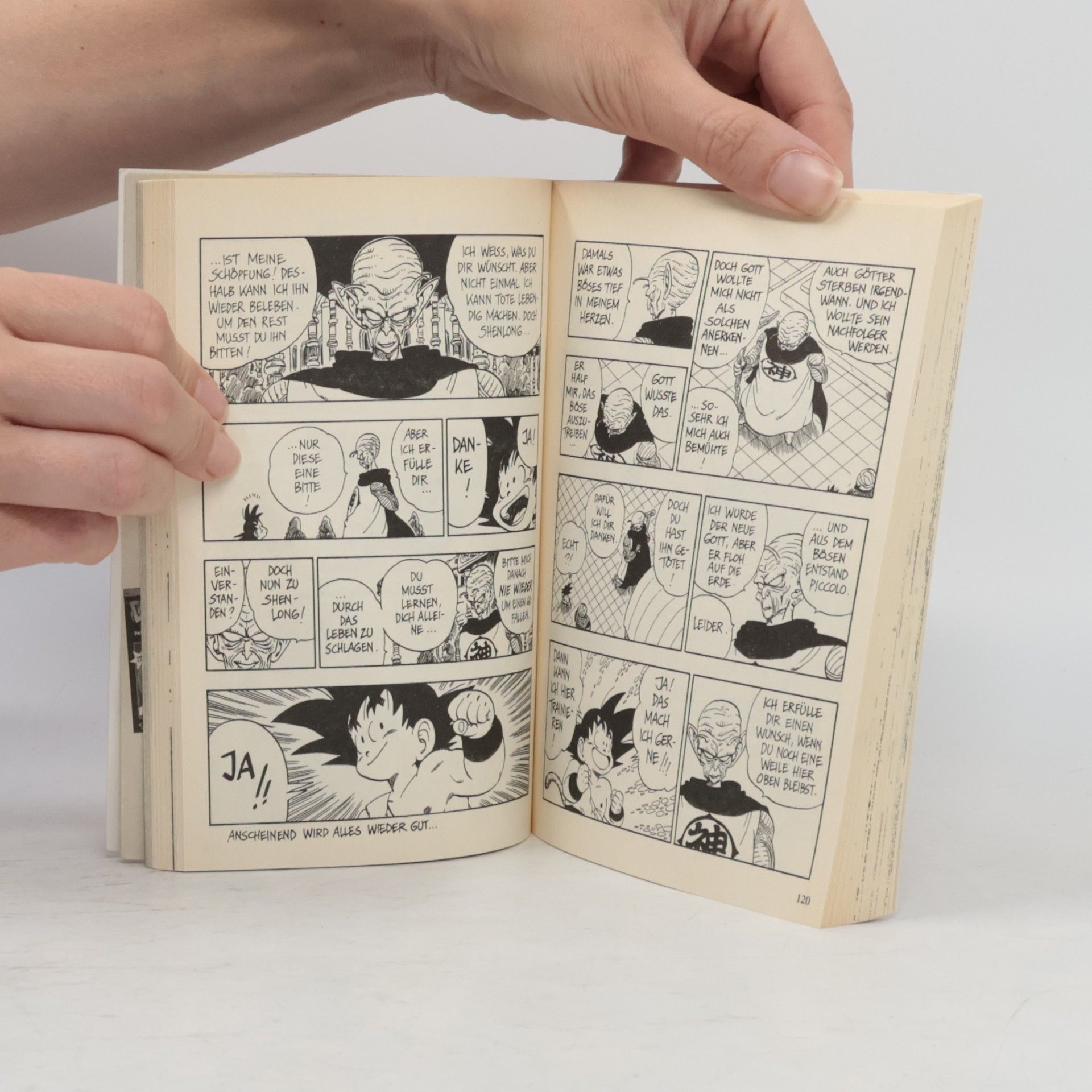 Akira Toriyama Dragon ball 14