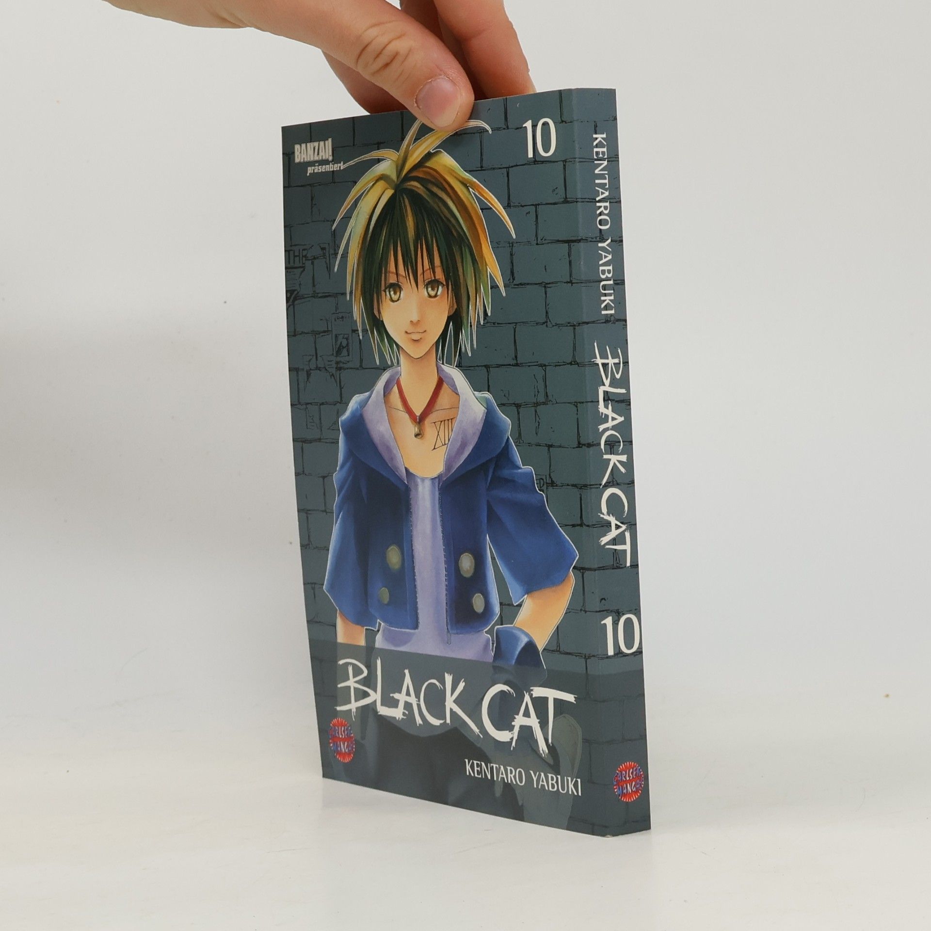 Kentarō Yabuki Black Cat 10