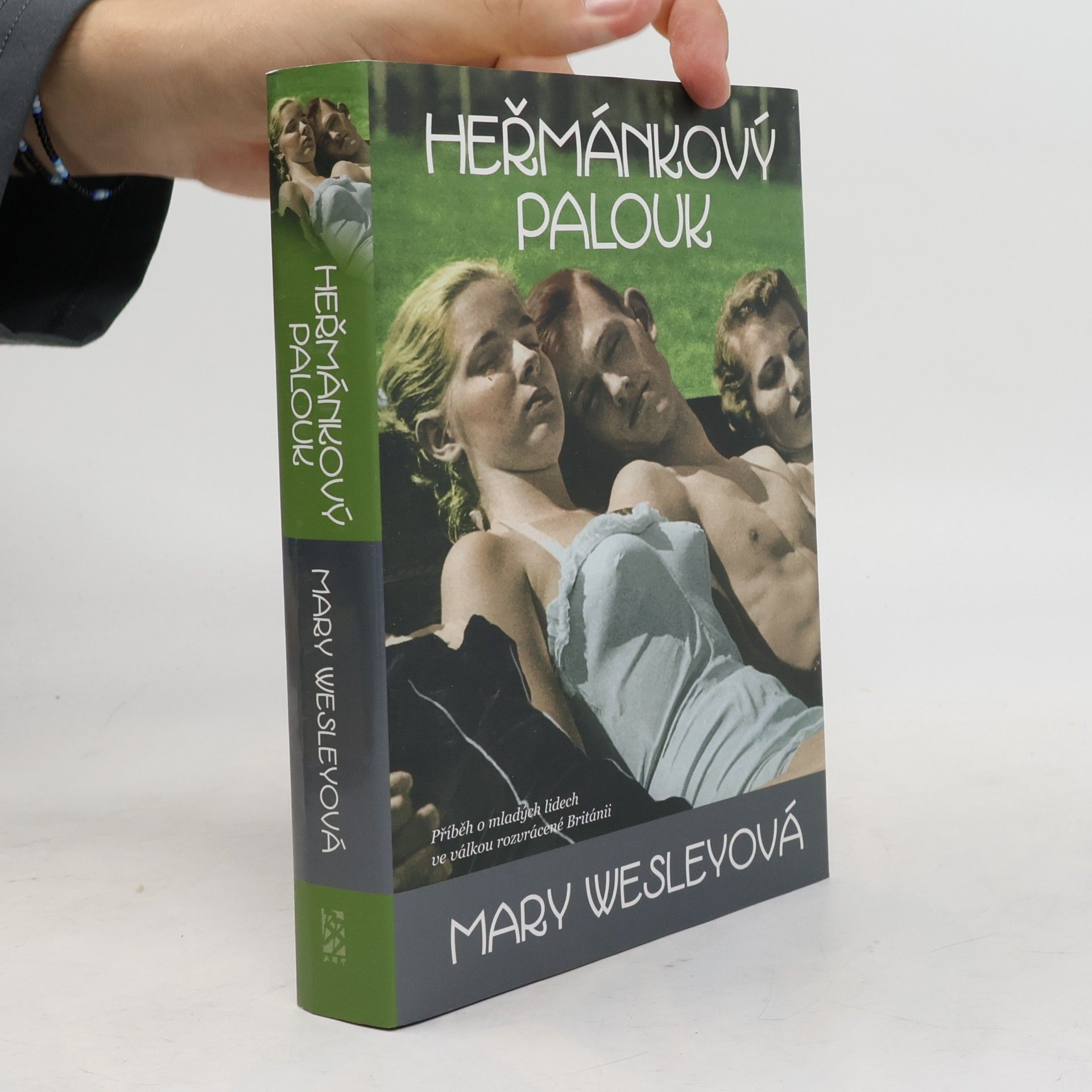 Heřmánkový palouk