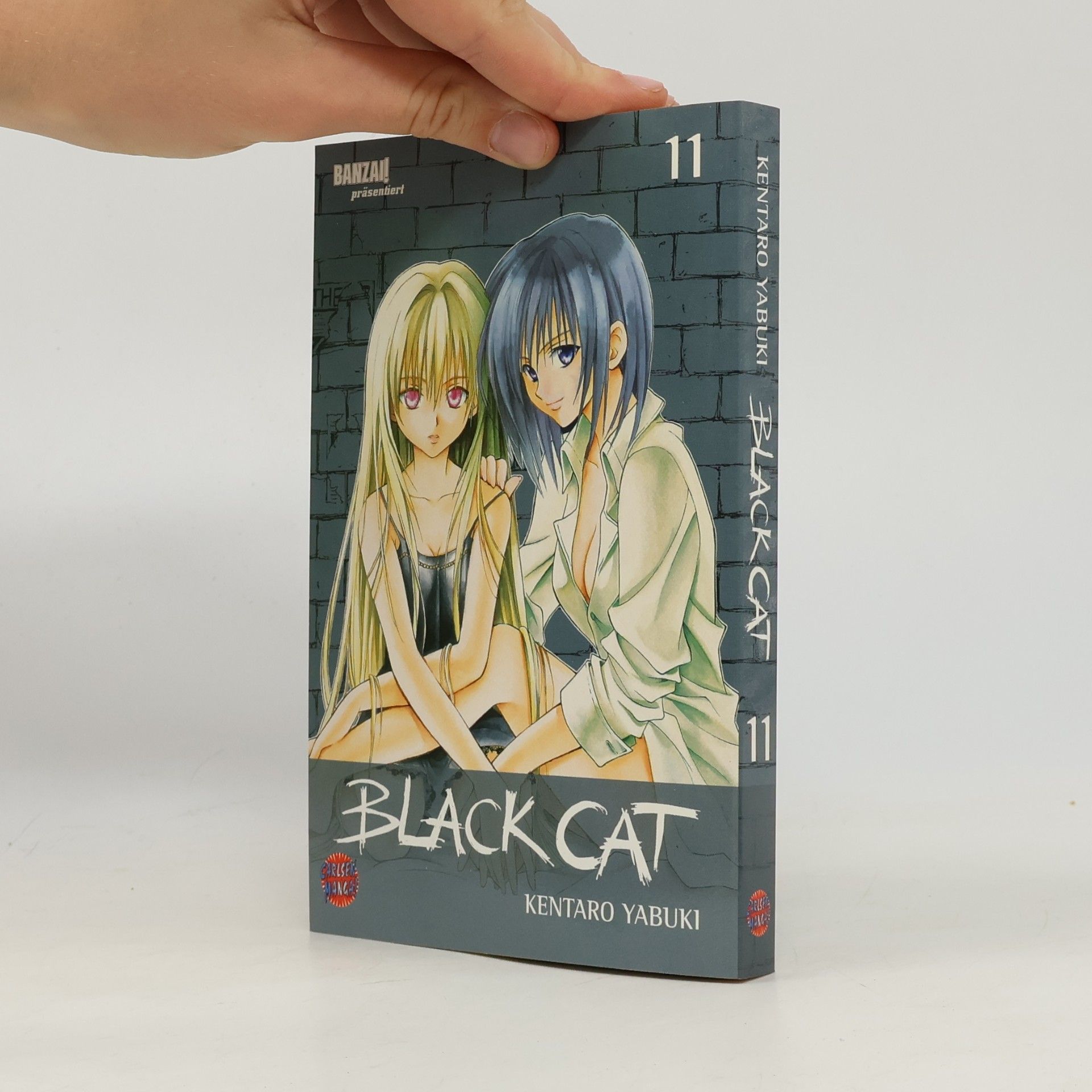 Kentarō Yabuki Black Cat 11