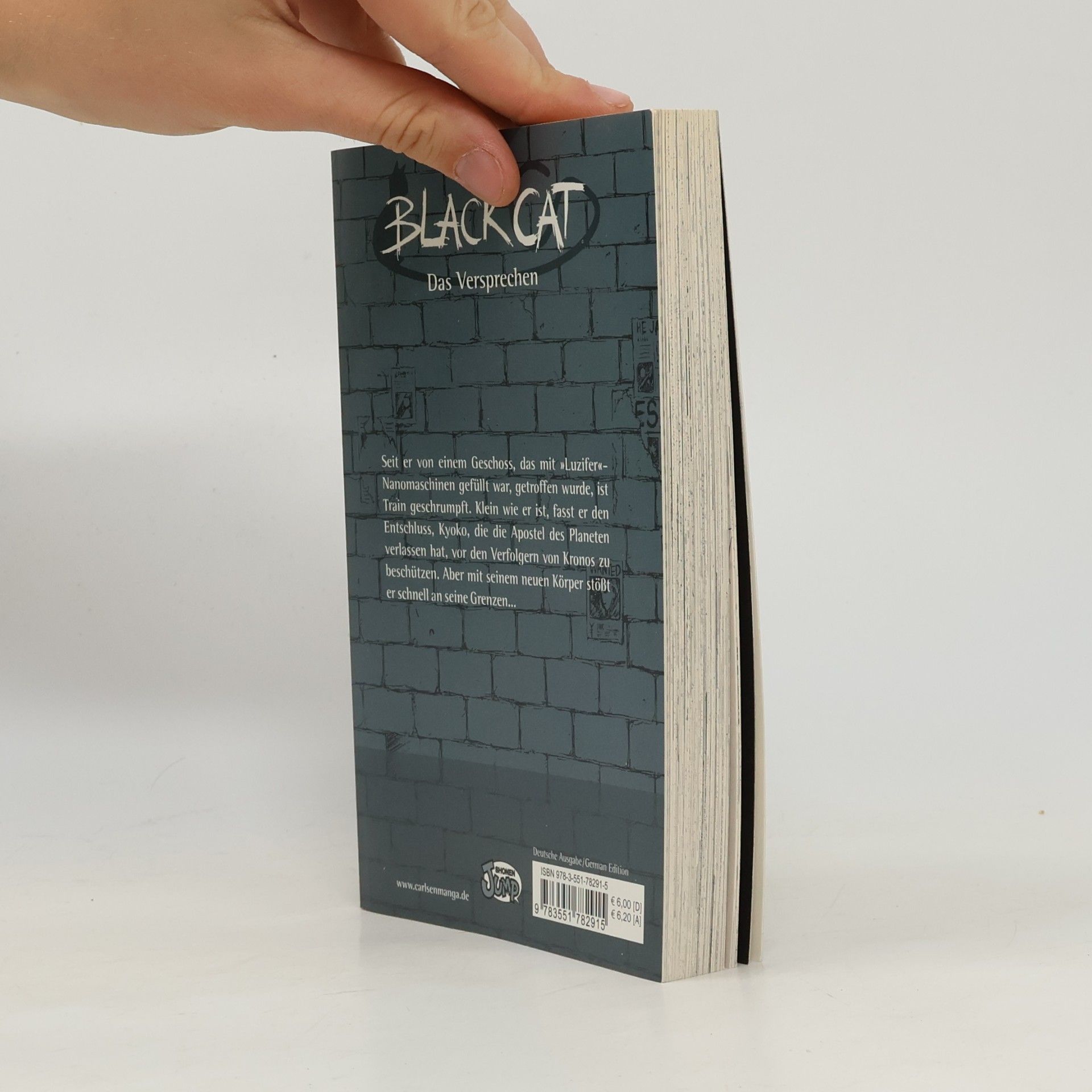 Kentaro Yabuki Black Cat 11