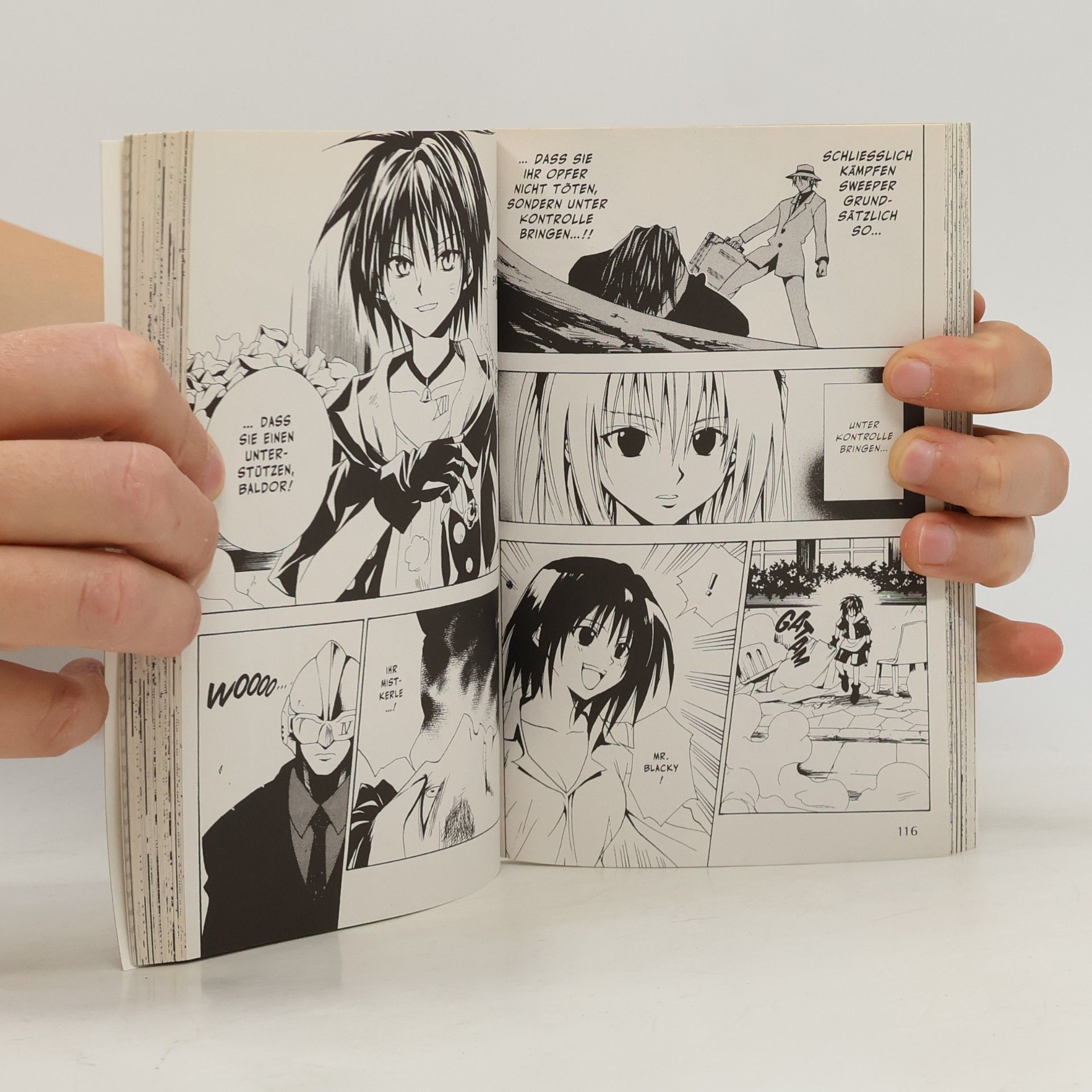 Kentaro Yabuki Black Cat 11