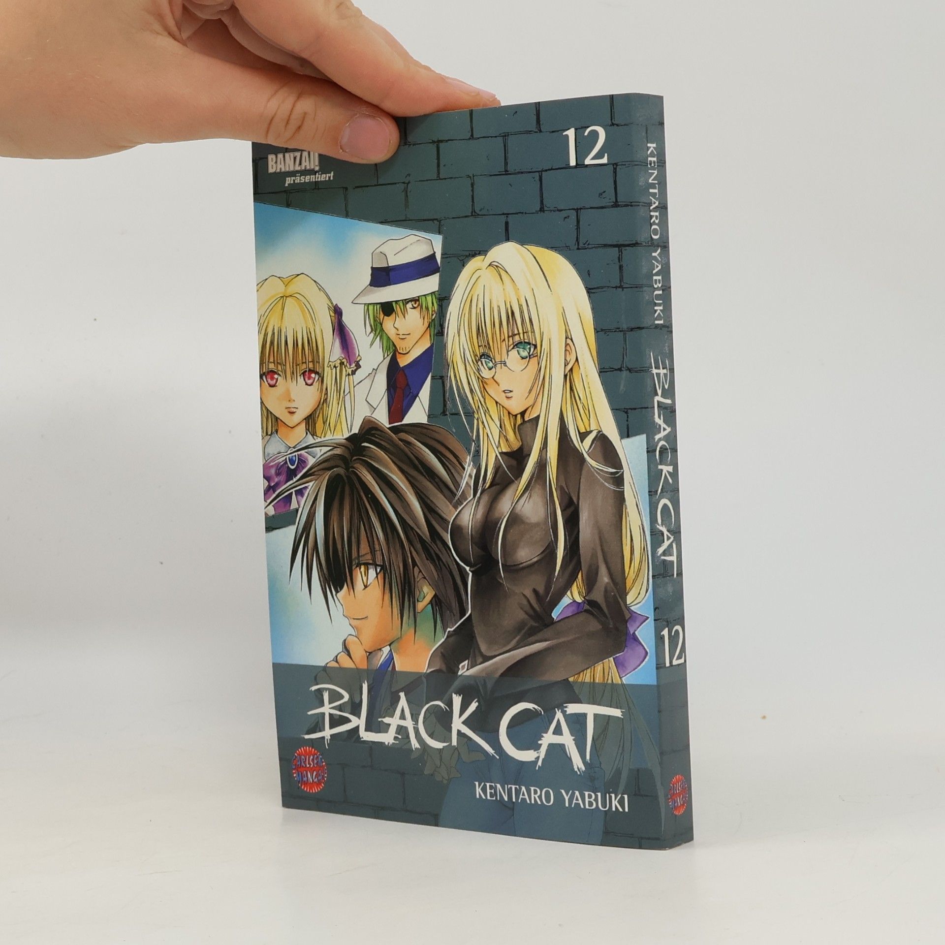 Kentarō Yabuki Black Cat 12