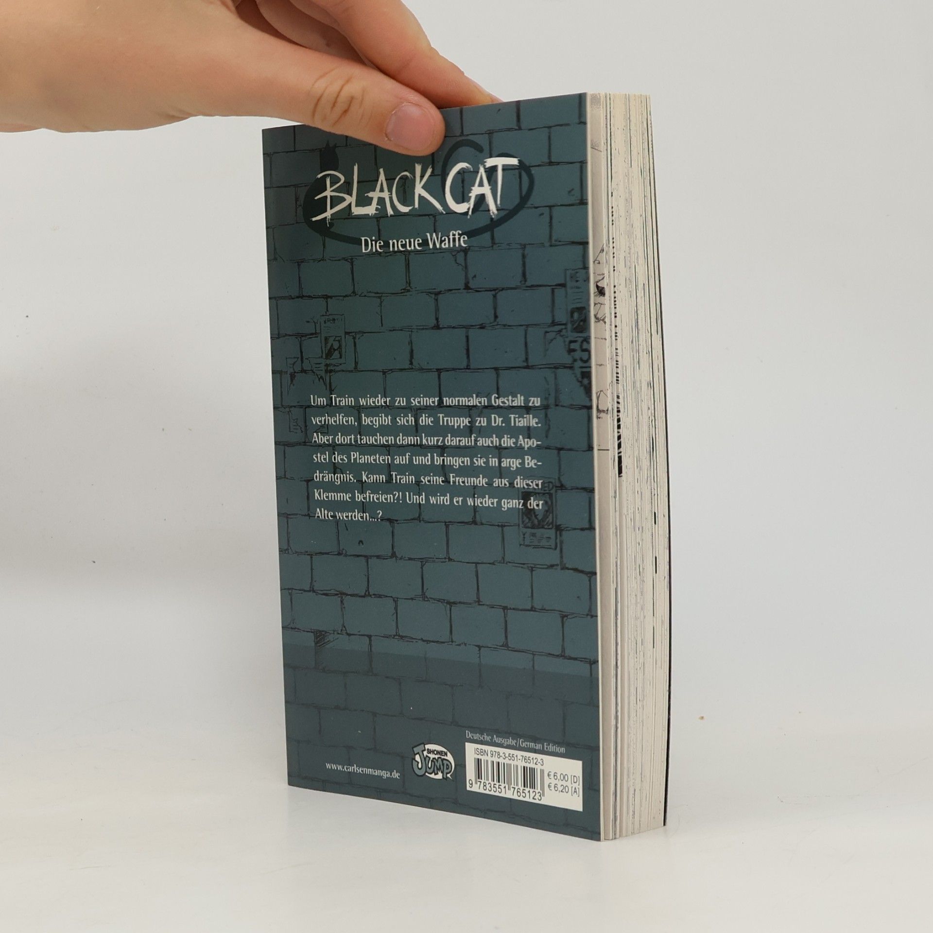 Kentaro Yabuki Black Cat 12