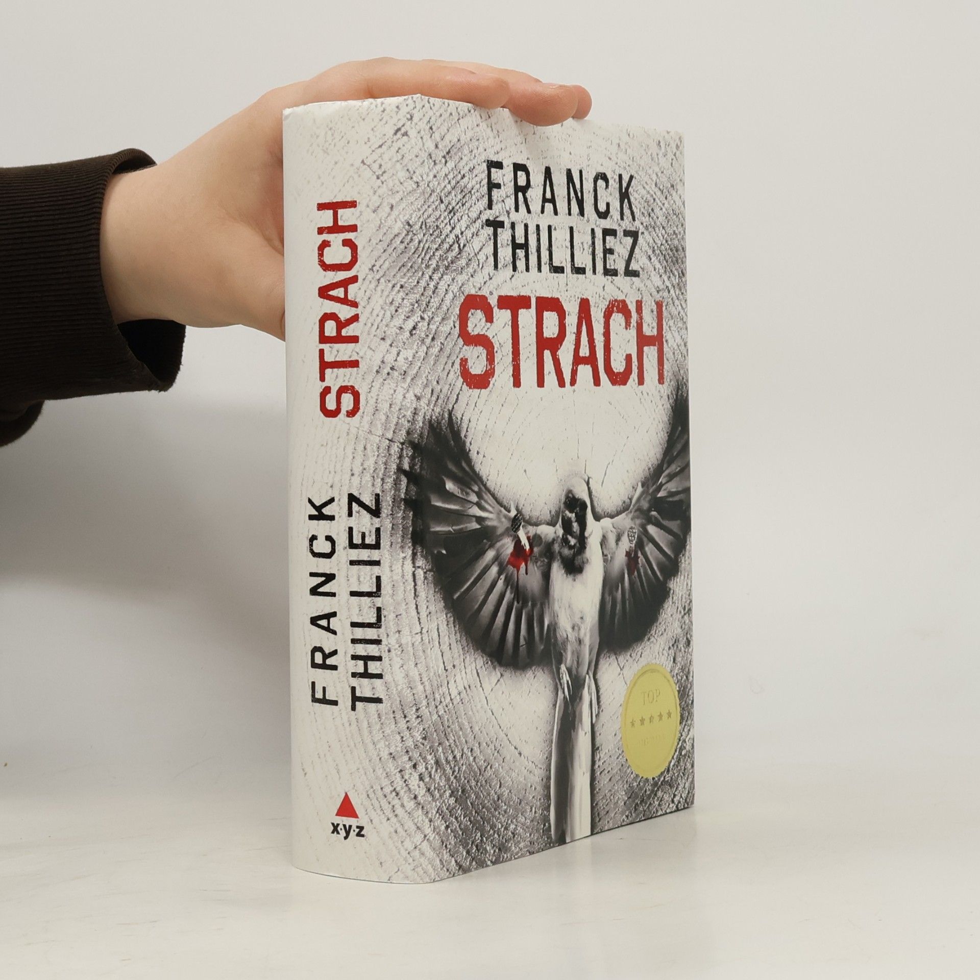 Franck Thilliez Strach