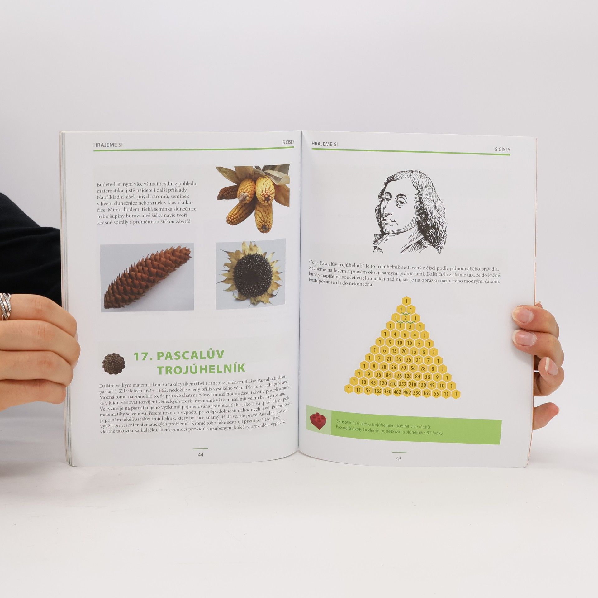 Radek Chajda Hravá matematika