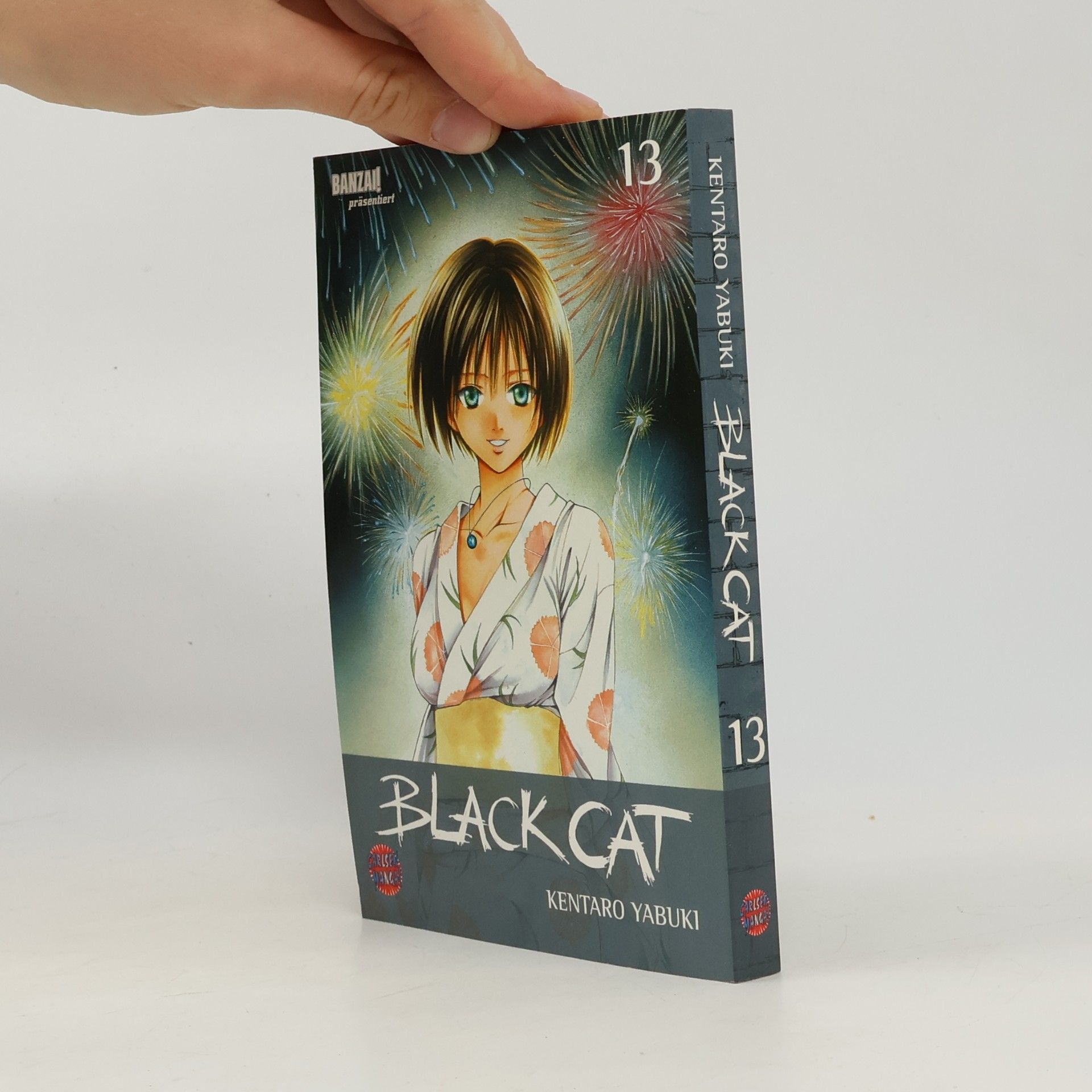 Kentarō Yabuki Black Cat 13
