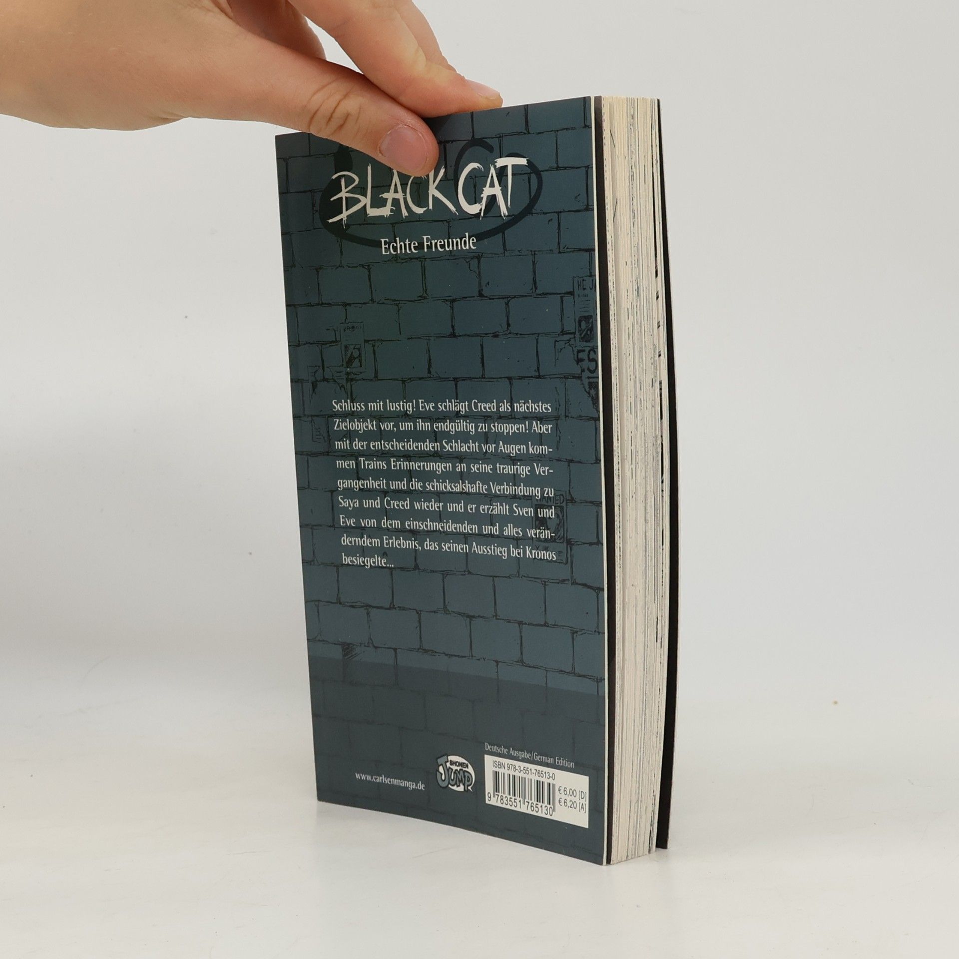 Kentaro Yabuki Black Cat 13