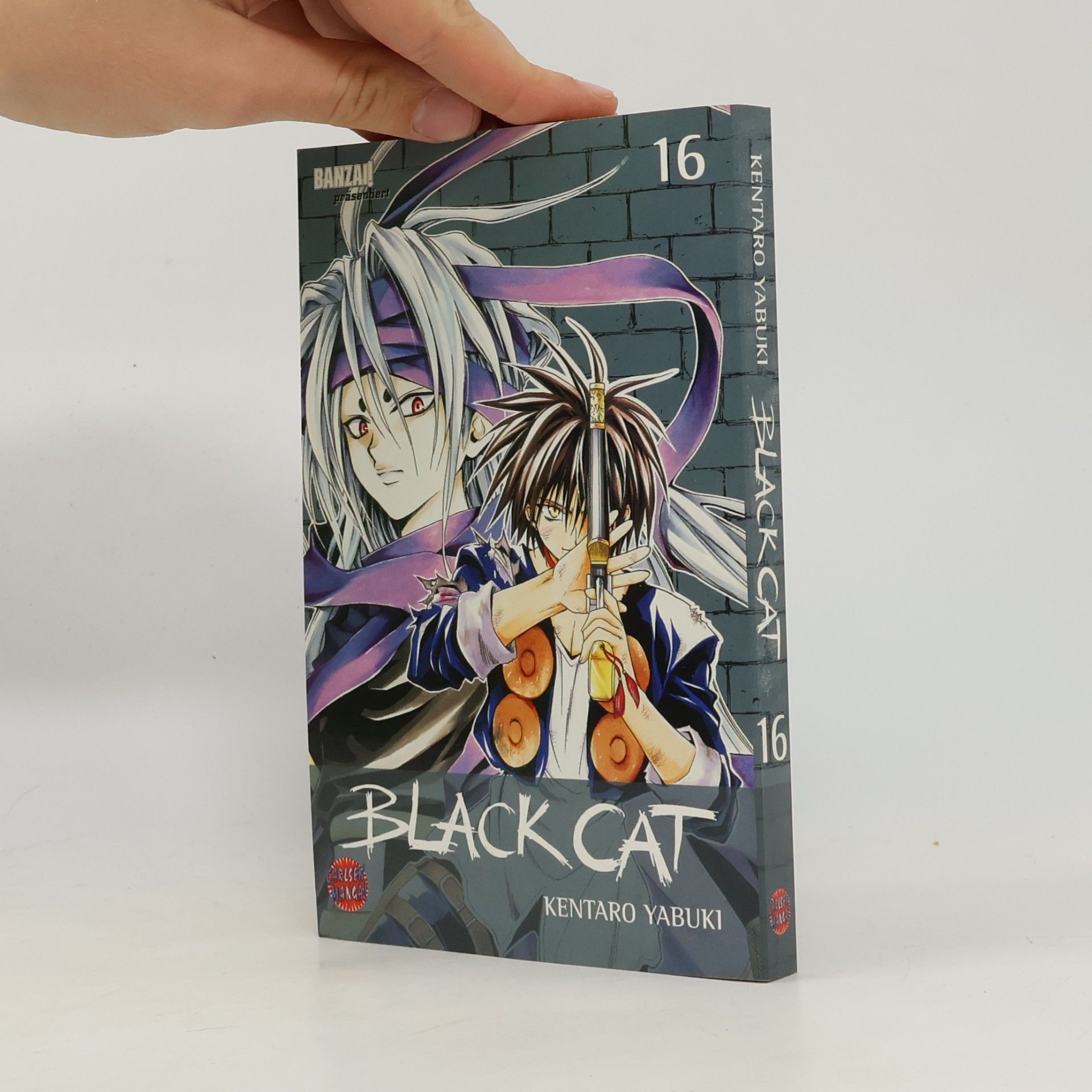 Kentarō Yabuki Black Cat 16