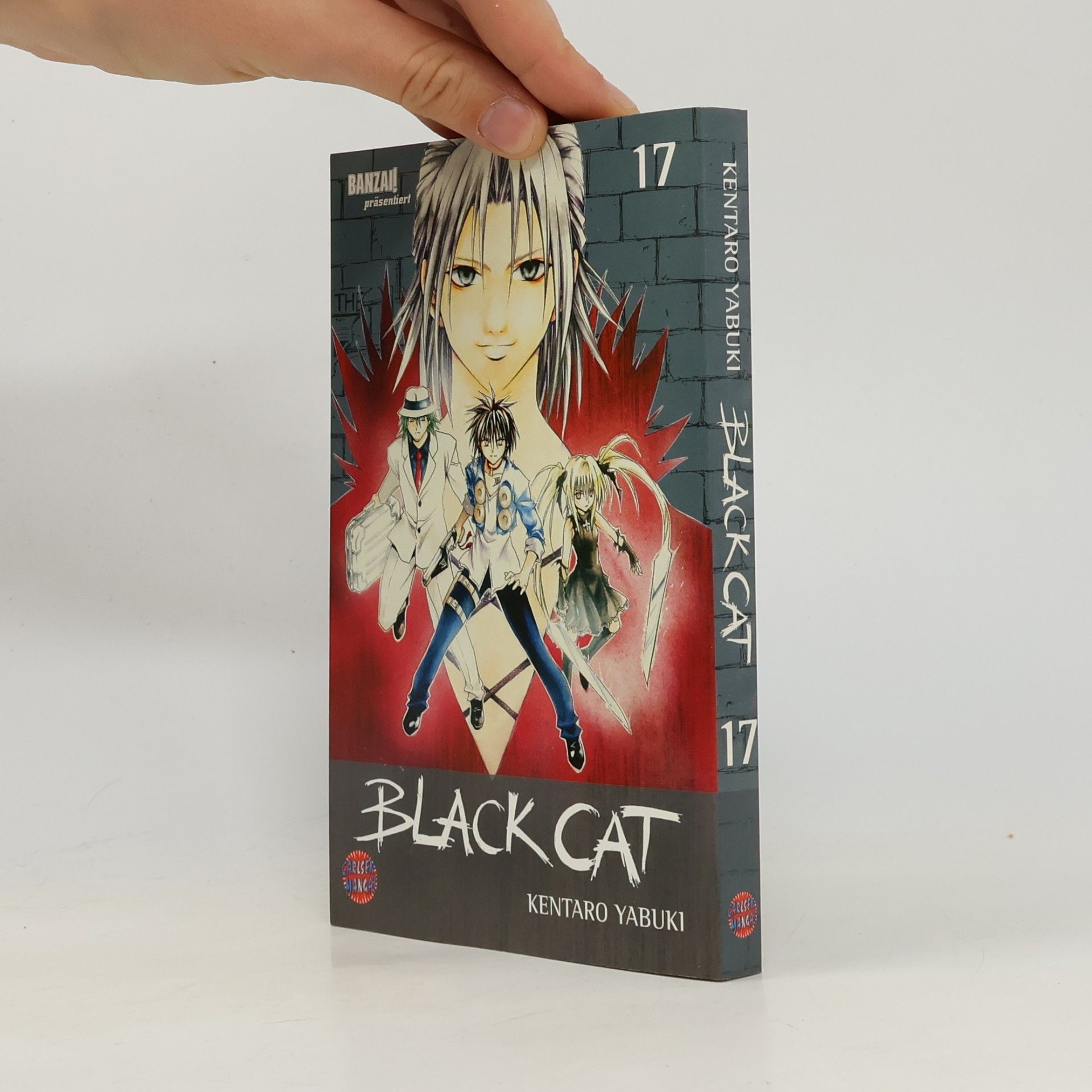 Kentarō Yabuki Black Cat 17