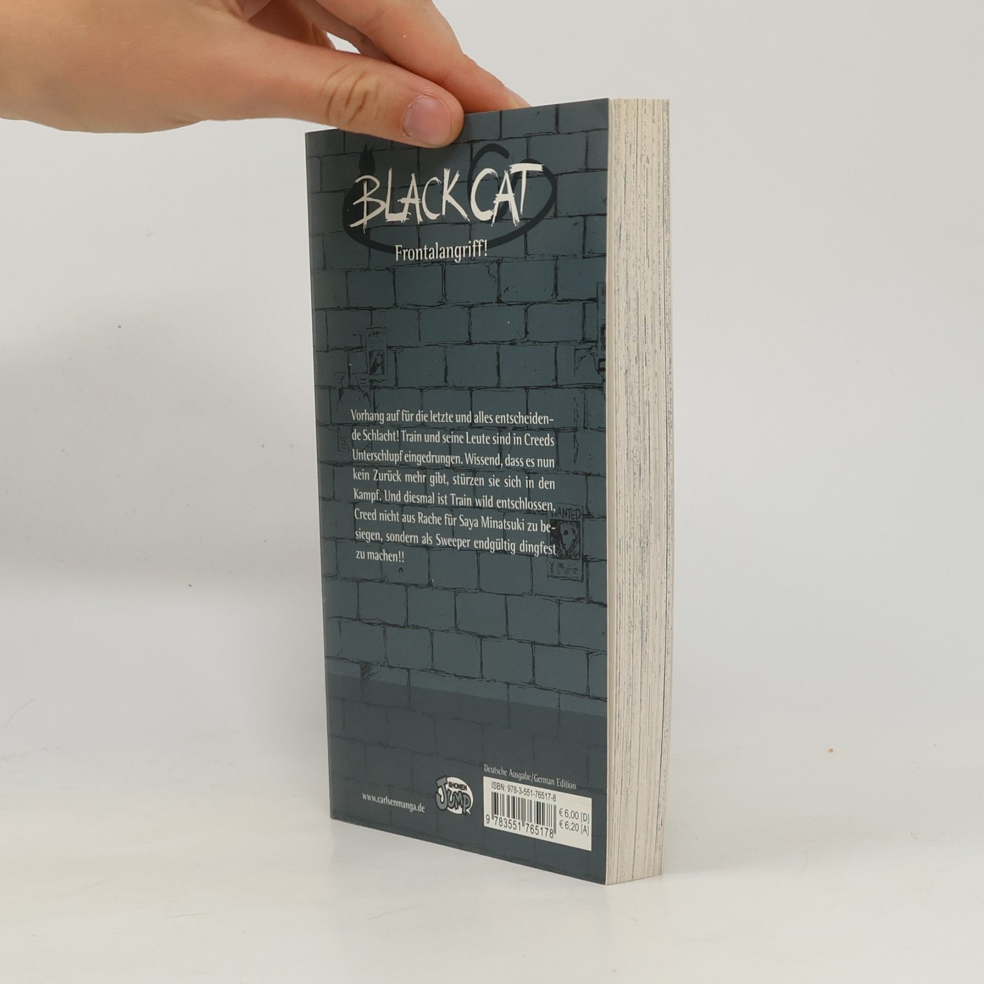 Kentaro Yabuki Black Cat 17