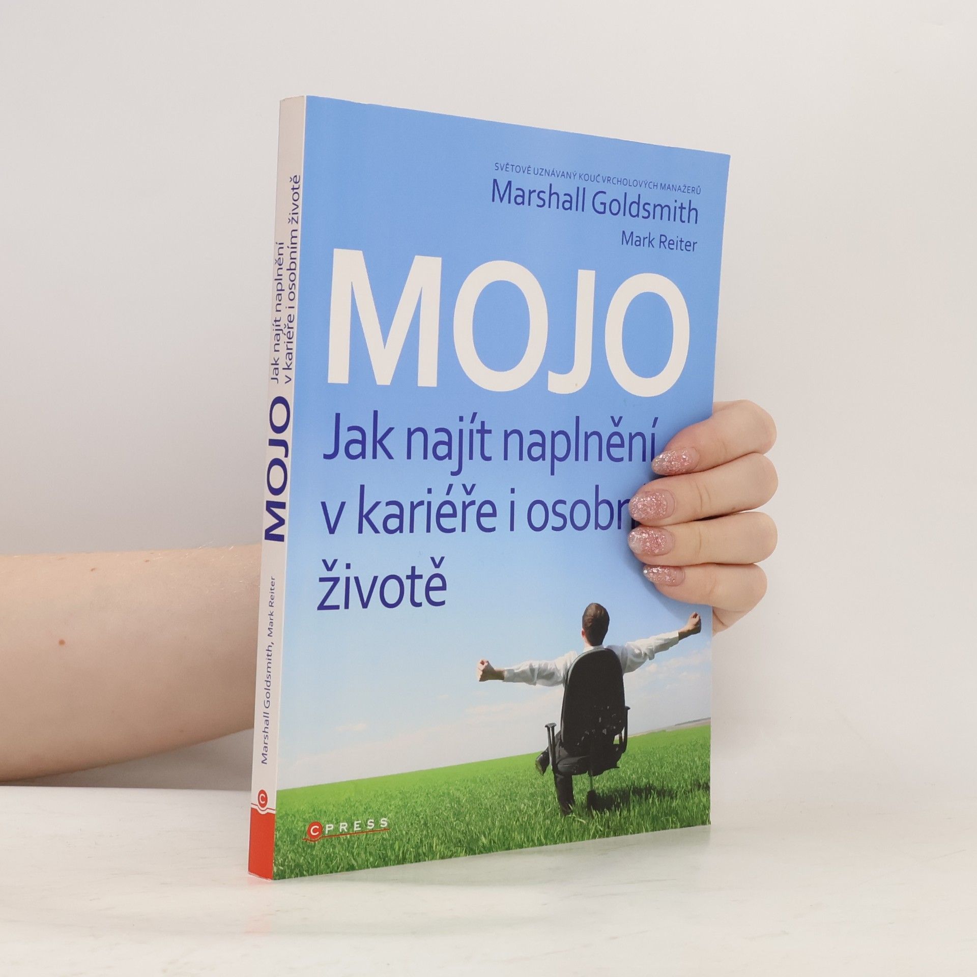 Mark Reiter Mojo. Jak najít naplnění v kariéře i osobním životě