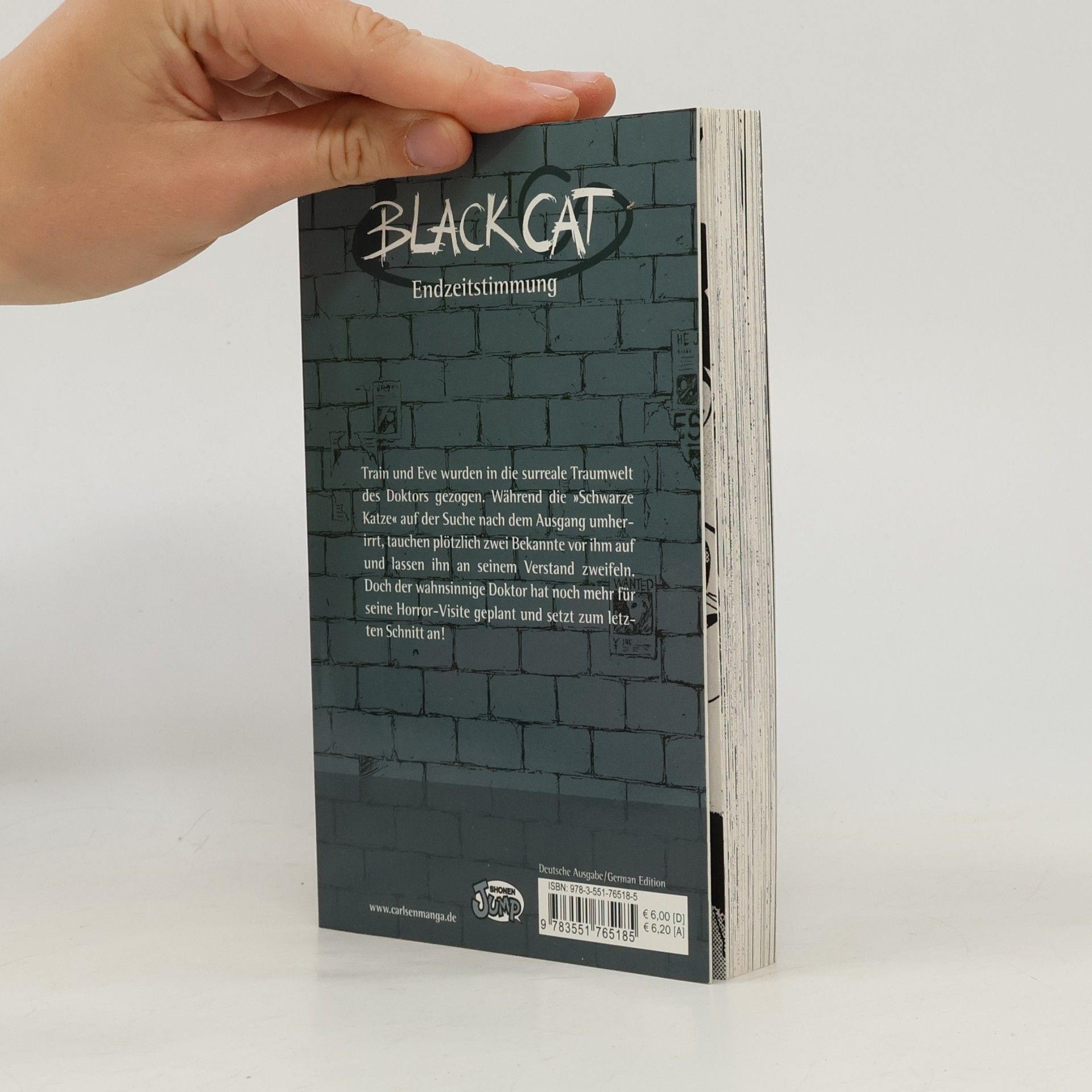 Kentaro Yabuki Black Cat 18
