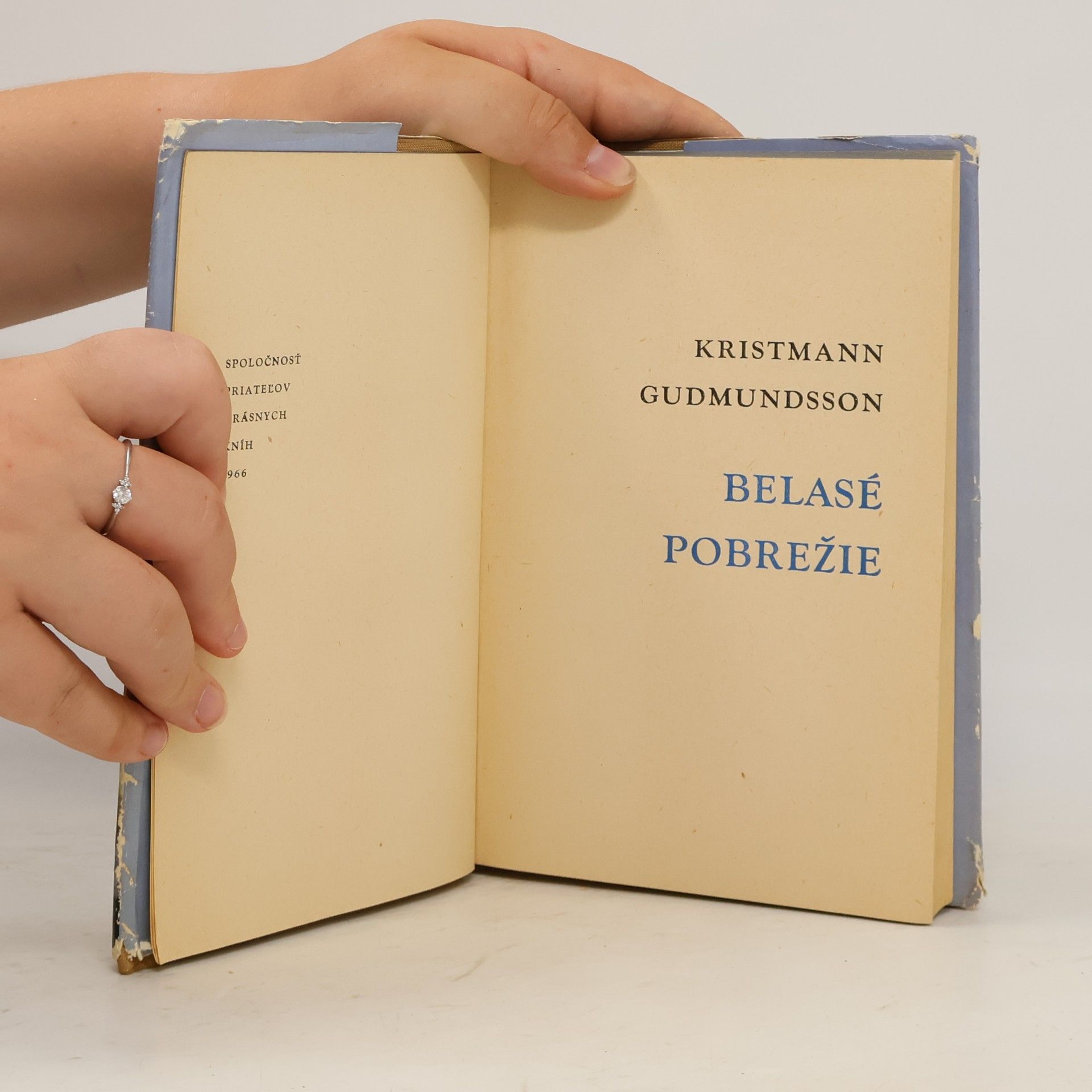 Helena Dobiášová Belasé pobrežie
