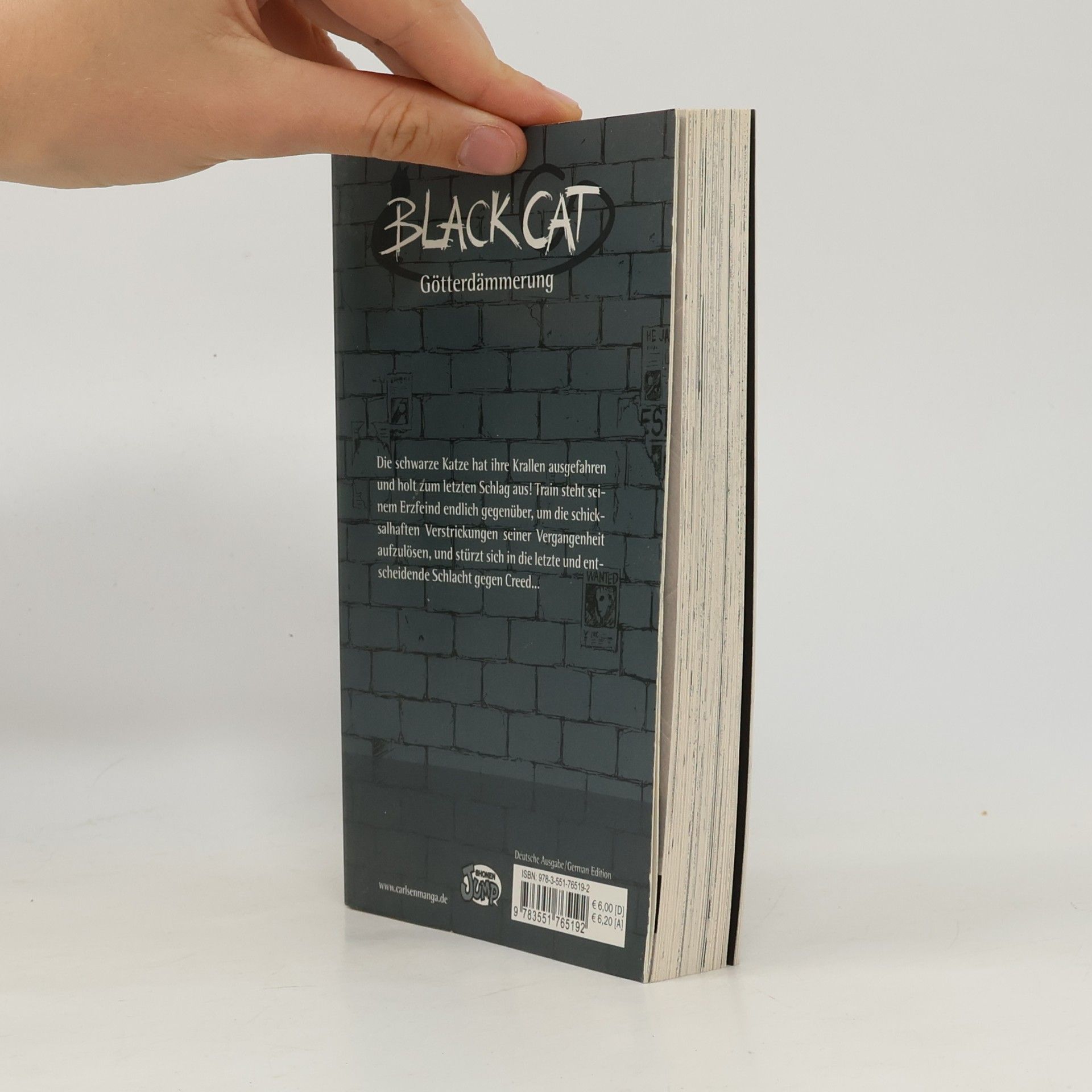 Kentaro Yabuki Black Cat 19