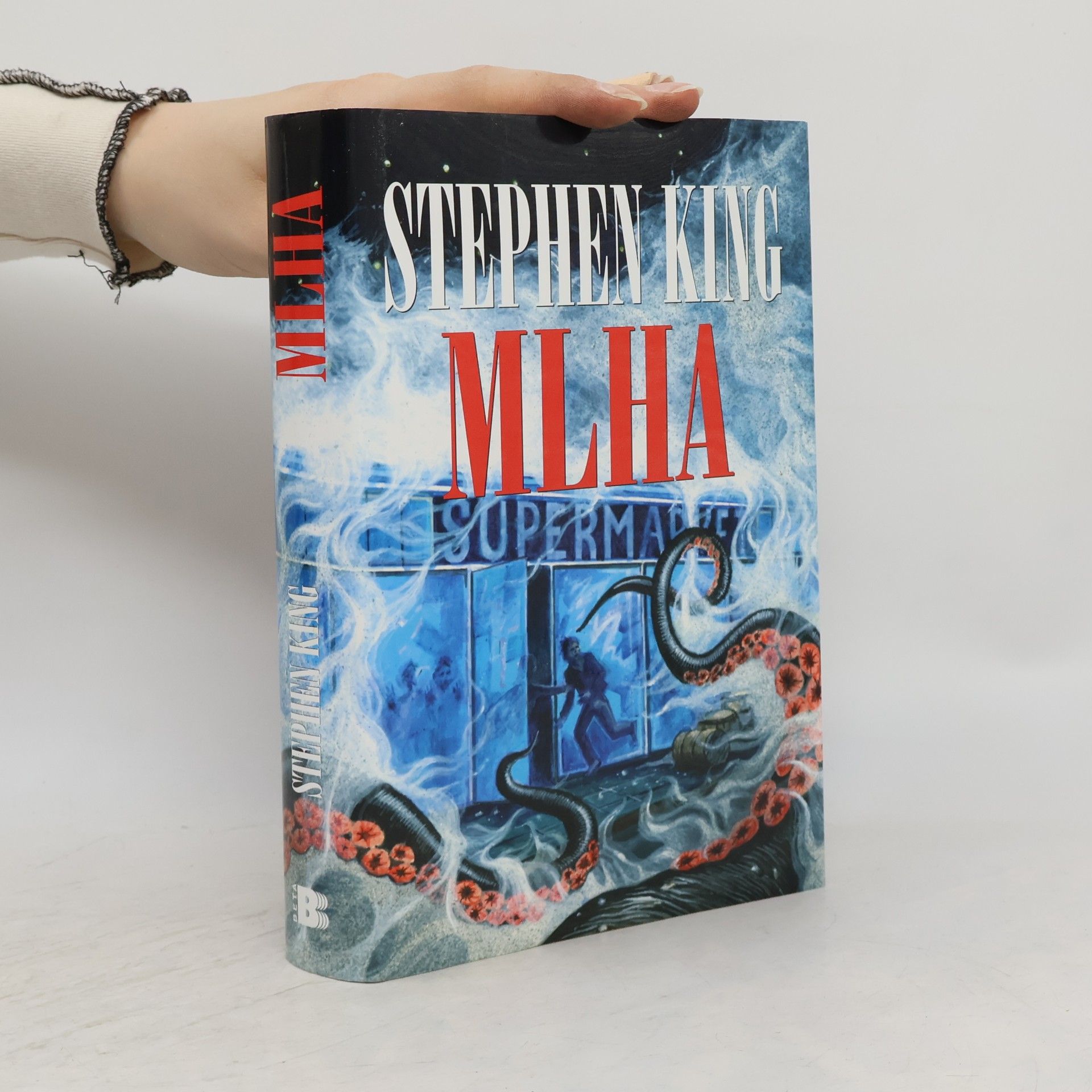 Stephen King Mlha