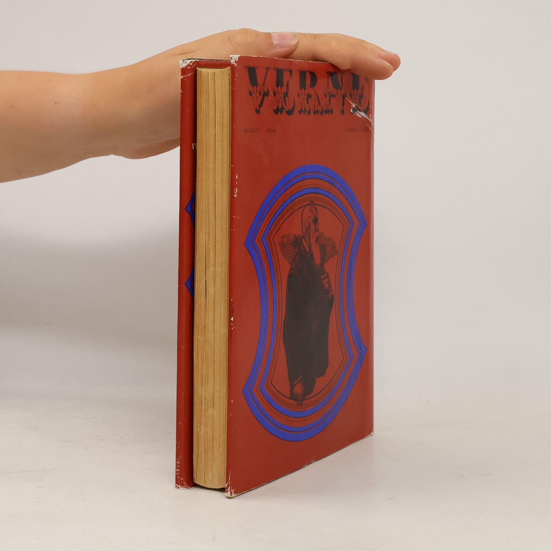 Jules Verne Nový gróf Monte Cristo