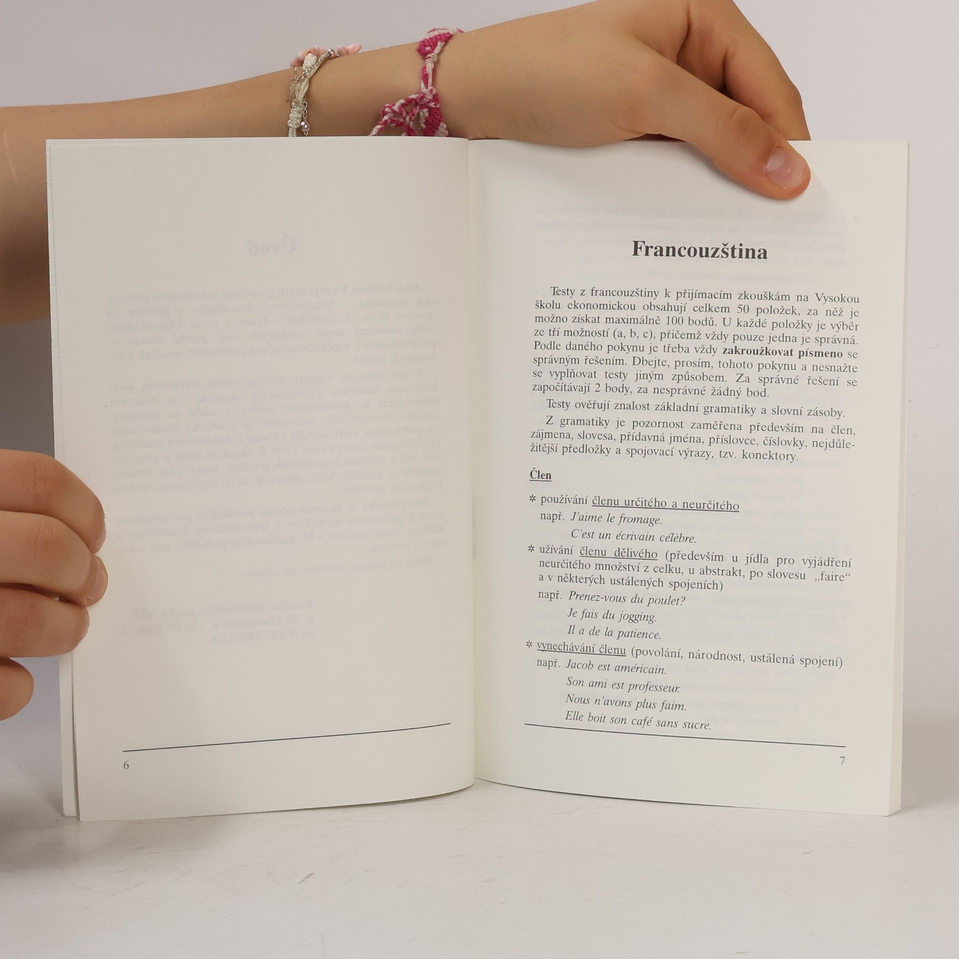Autorenkollektiv Ukázky testů z francouzštiny, španělštiny a italštiny pro přijímací zkoušky na magisterské studium