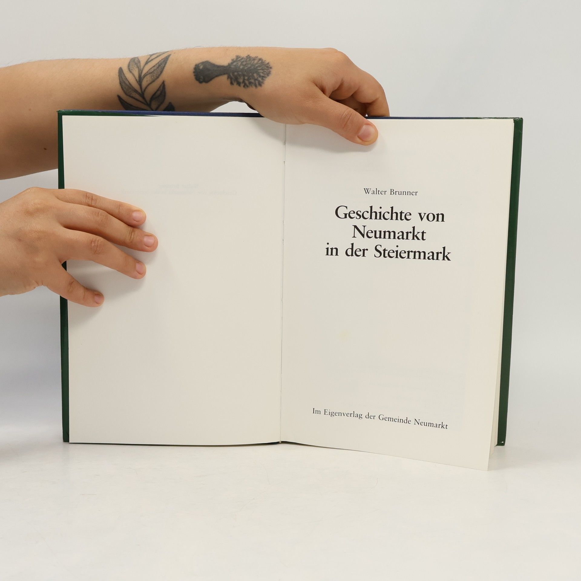 Walter Brunner Geschichte von Neumarkt in der Steiermark