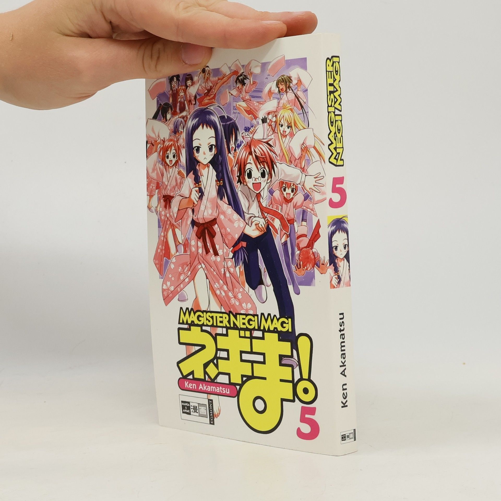 Autorenkollektiv Magister Negi Magi 5