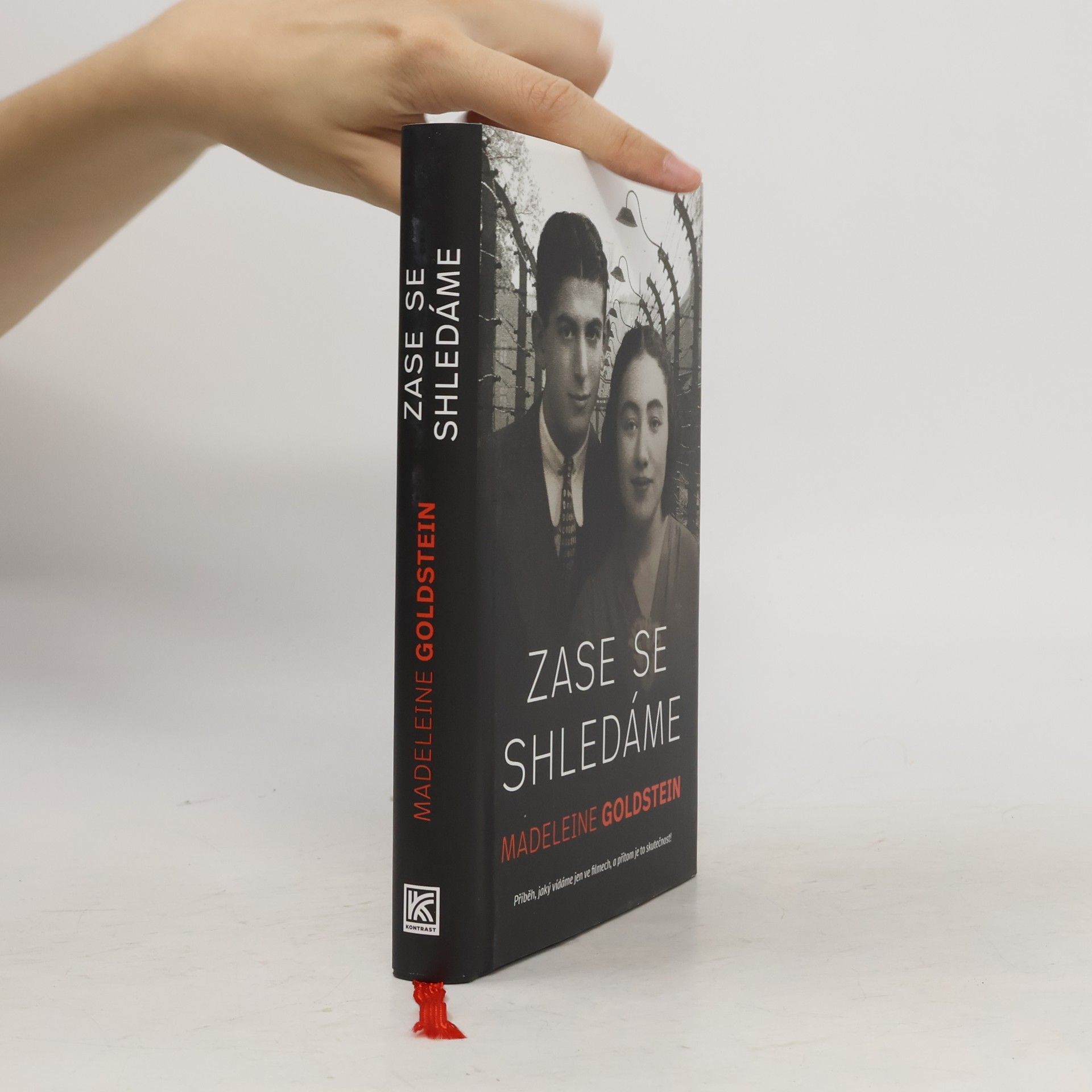Madeleine Goldstein Zase se shledáme