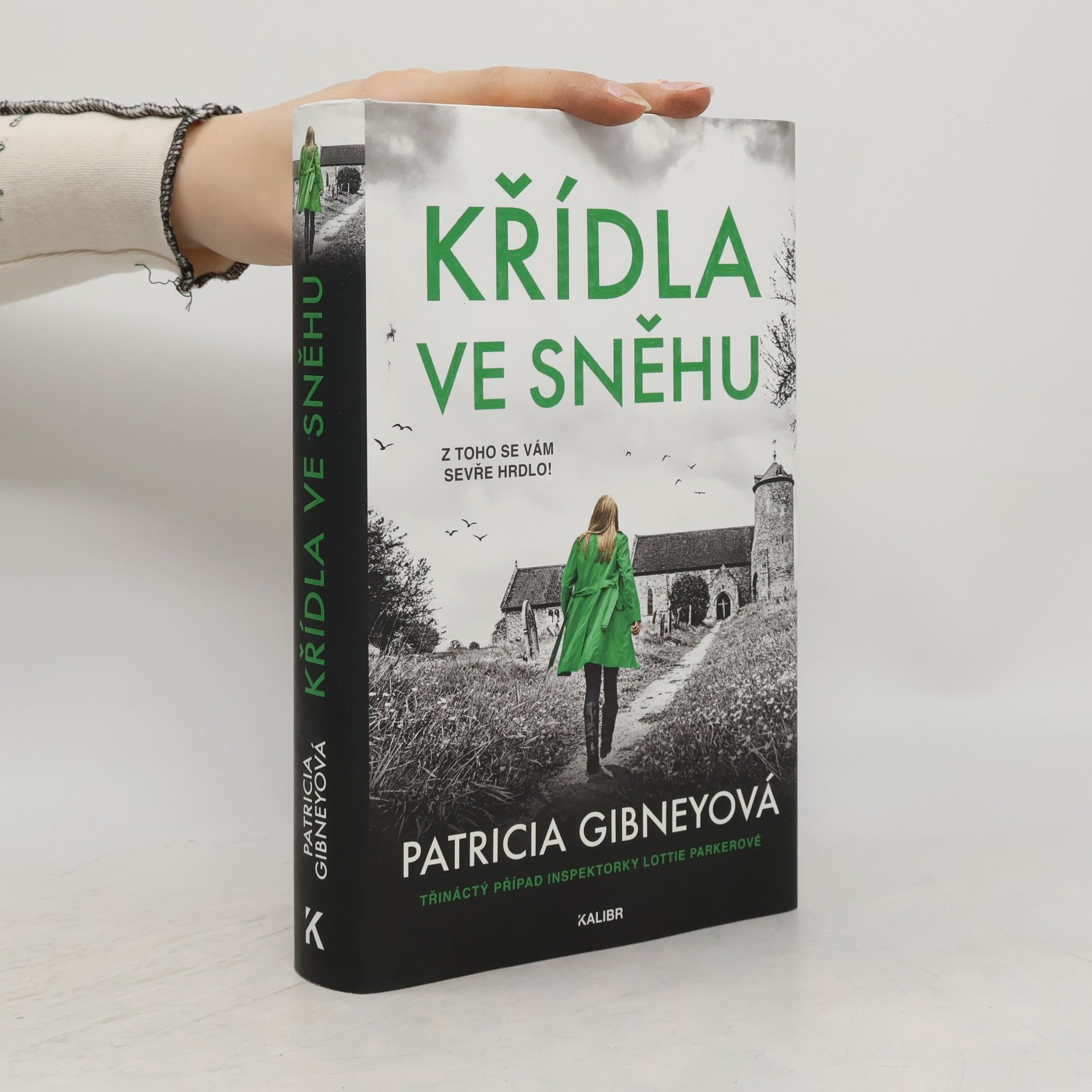 Patricia Gibney Křídla ve sněhu
