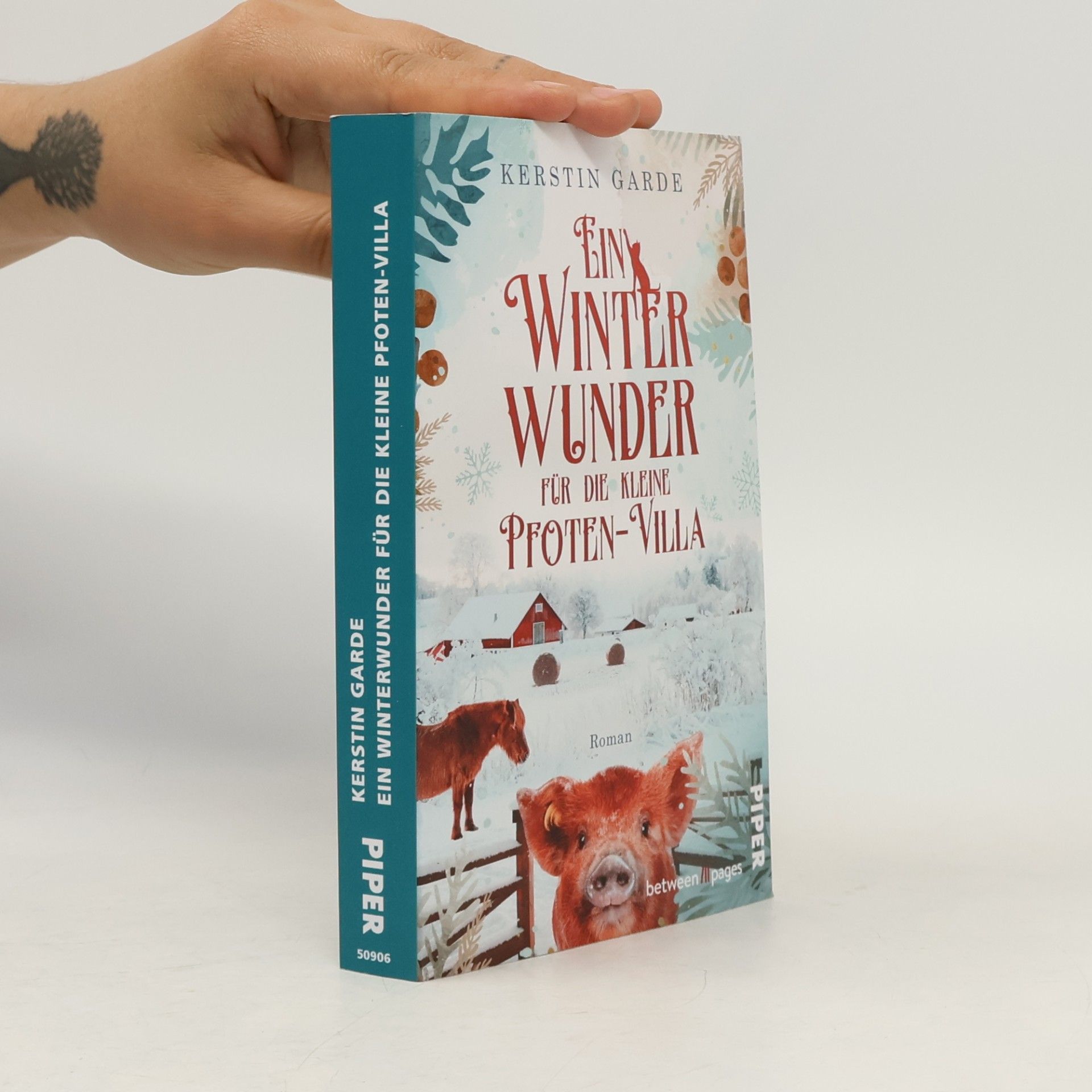 Kerstin Garde Ein Winterwunder für die kleine Pfoten-Villa