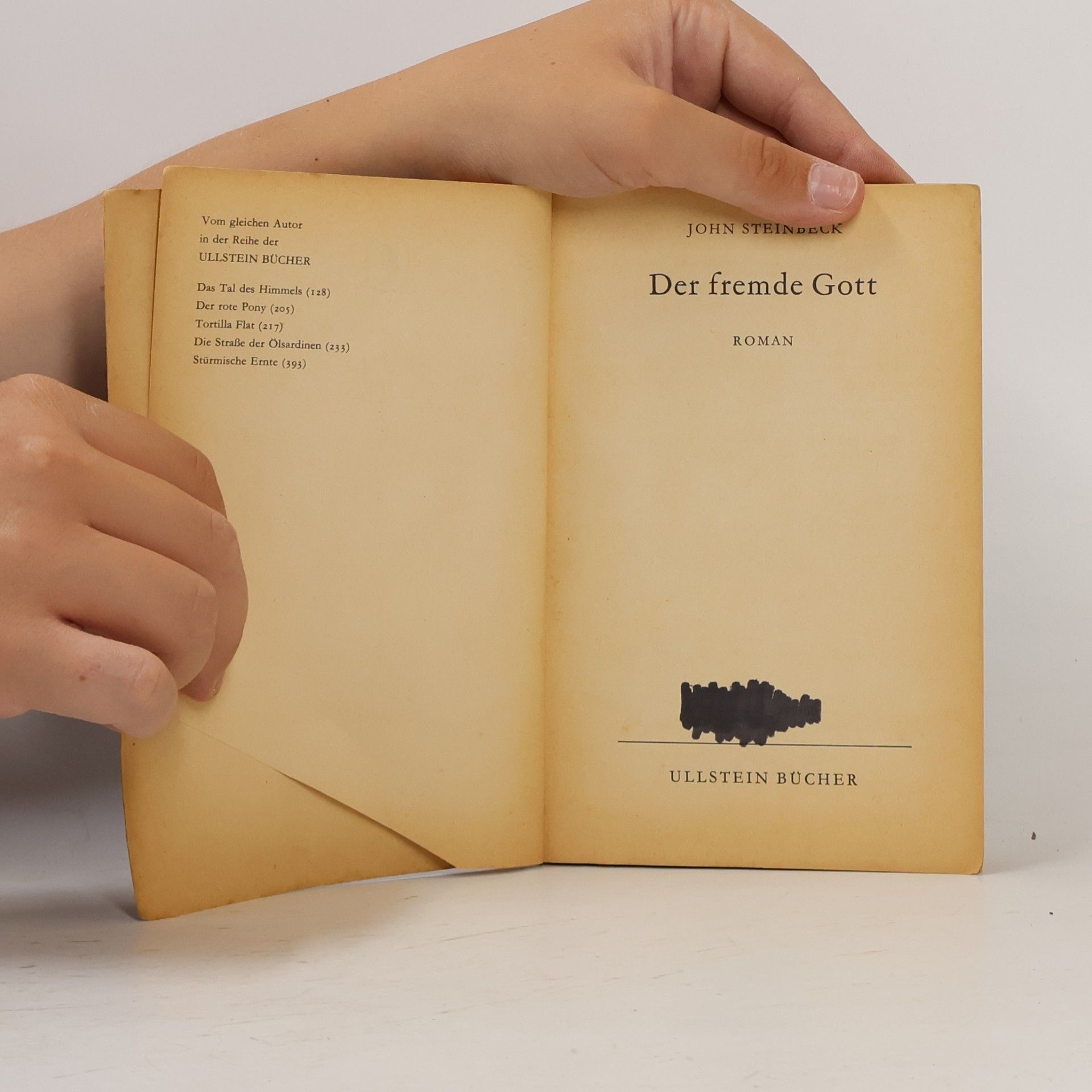 John Steinbeck Der Fremde Gott