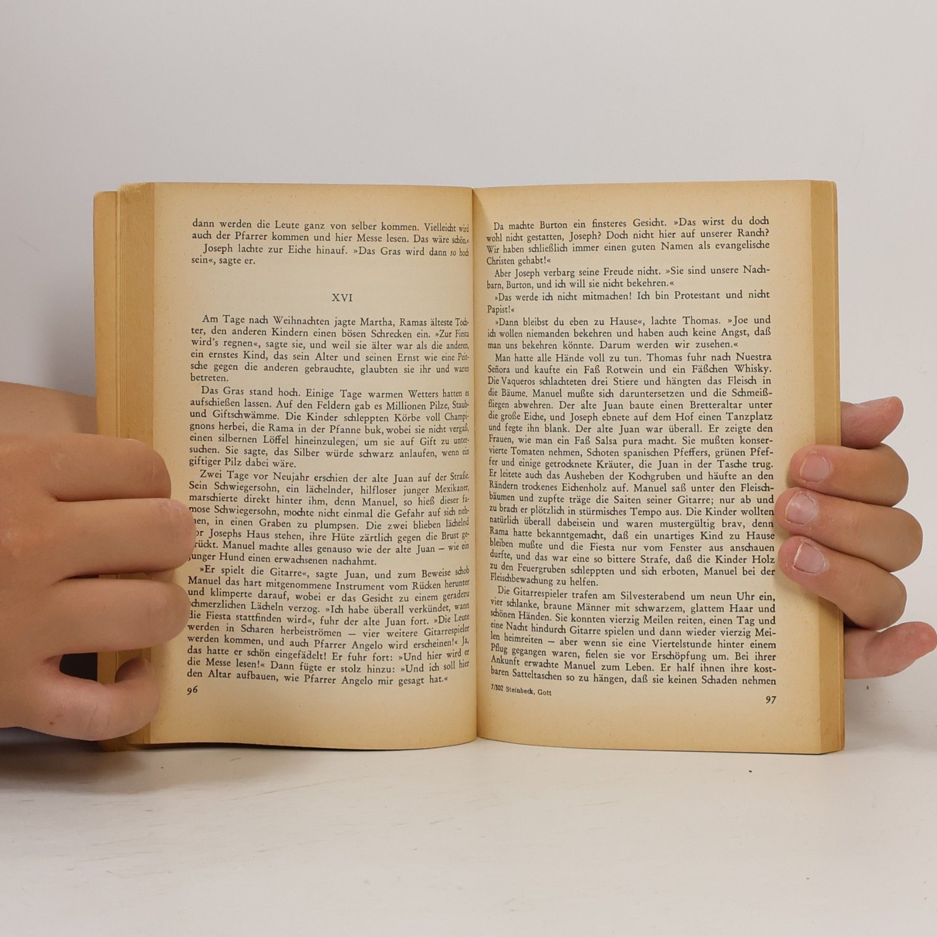 John Steinbeck Der Fremde Gott