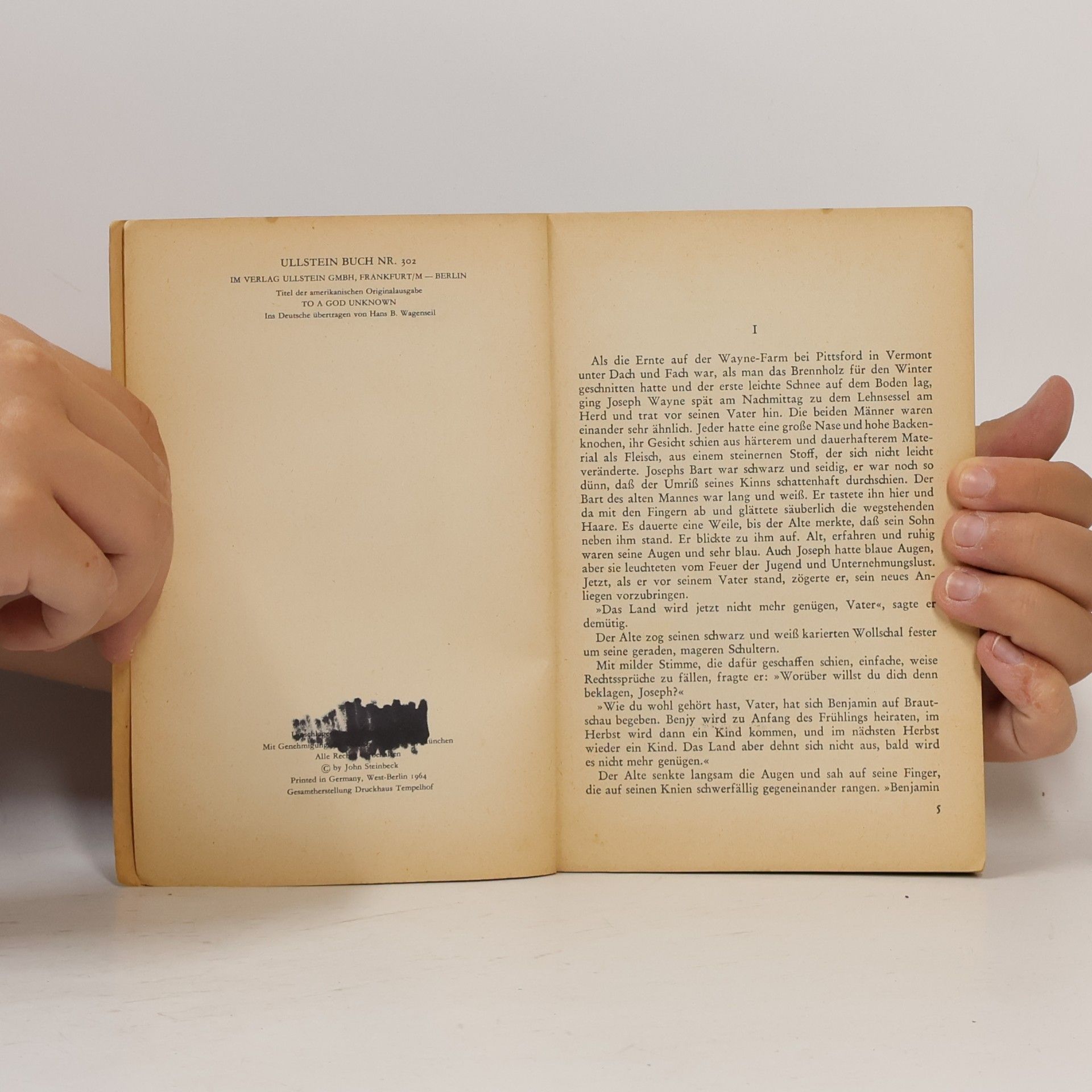 John Steinbeck Der Fremde Gott