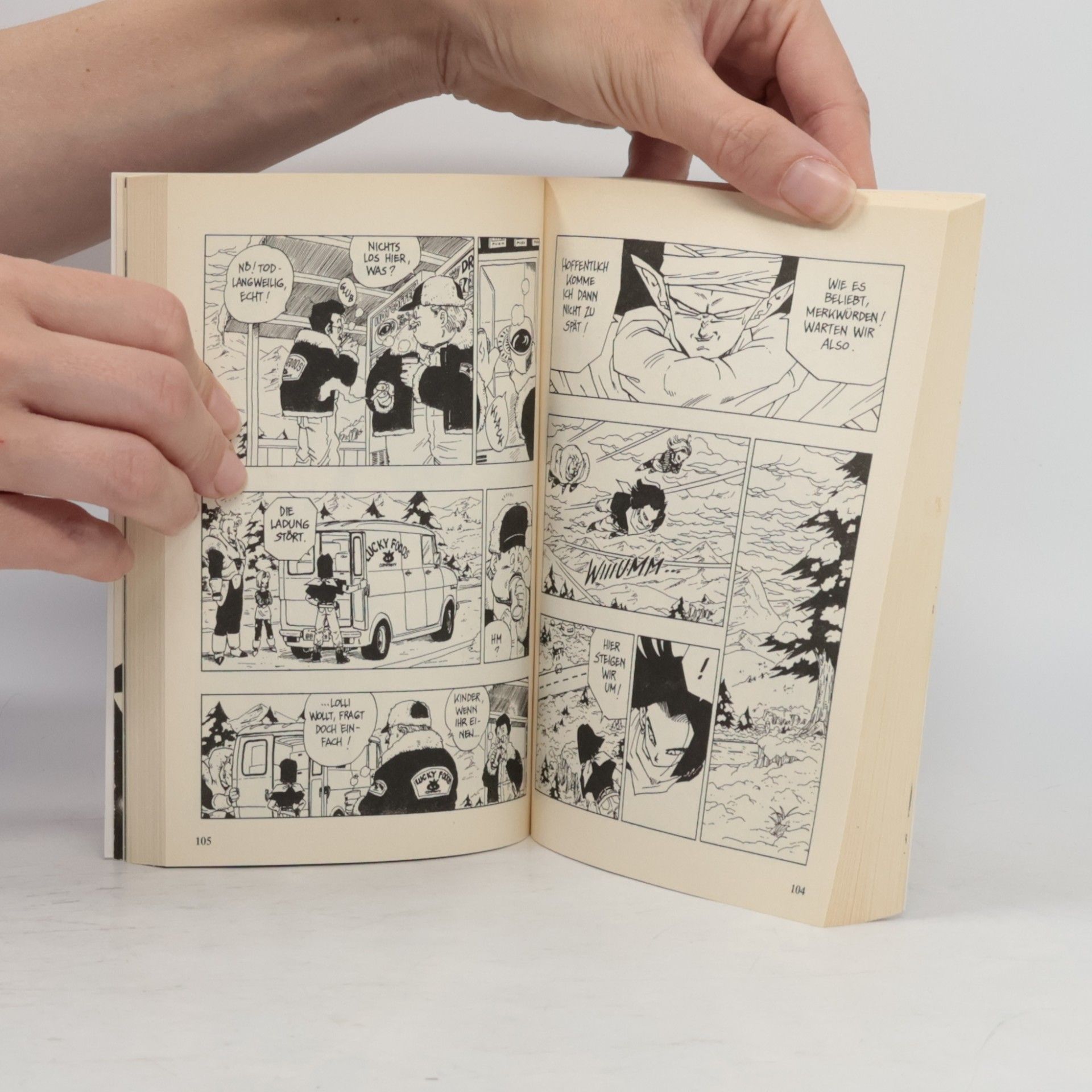 Akira Toriyama Dragon Ball 30