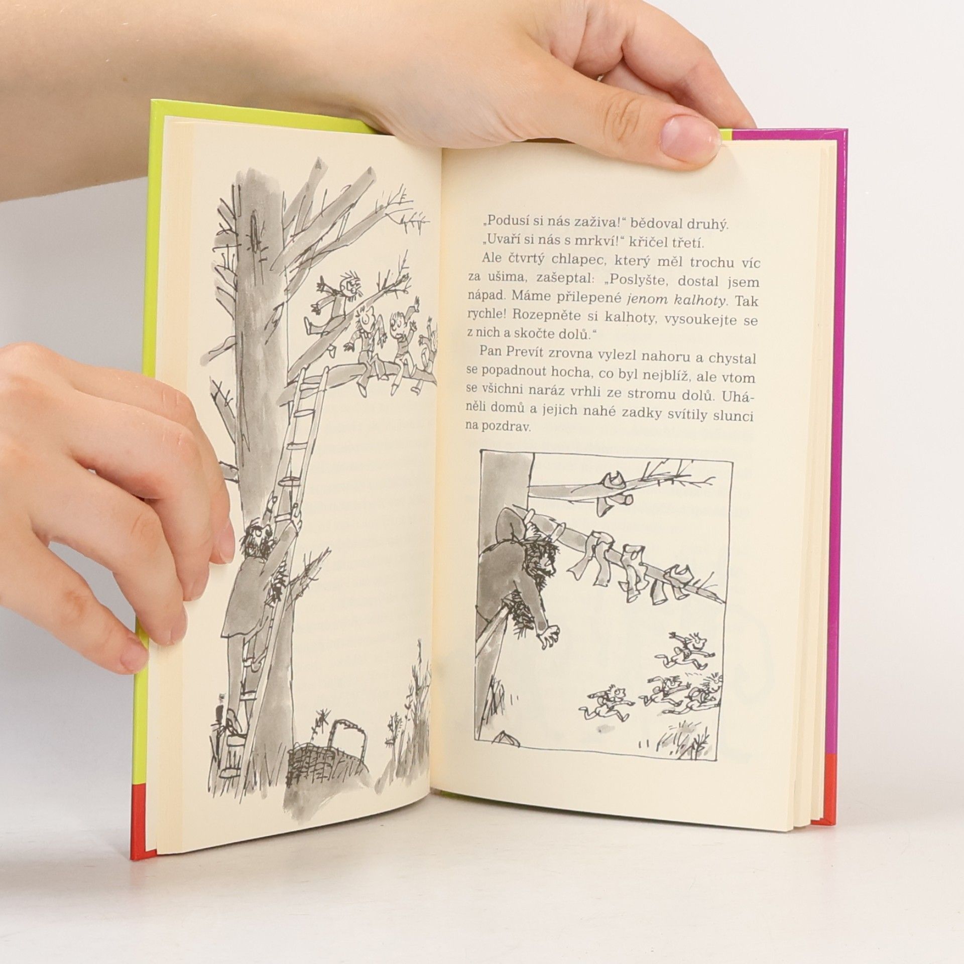 Roald Dahl Prevítovi