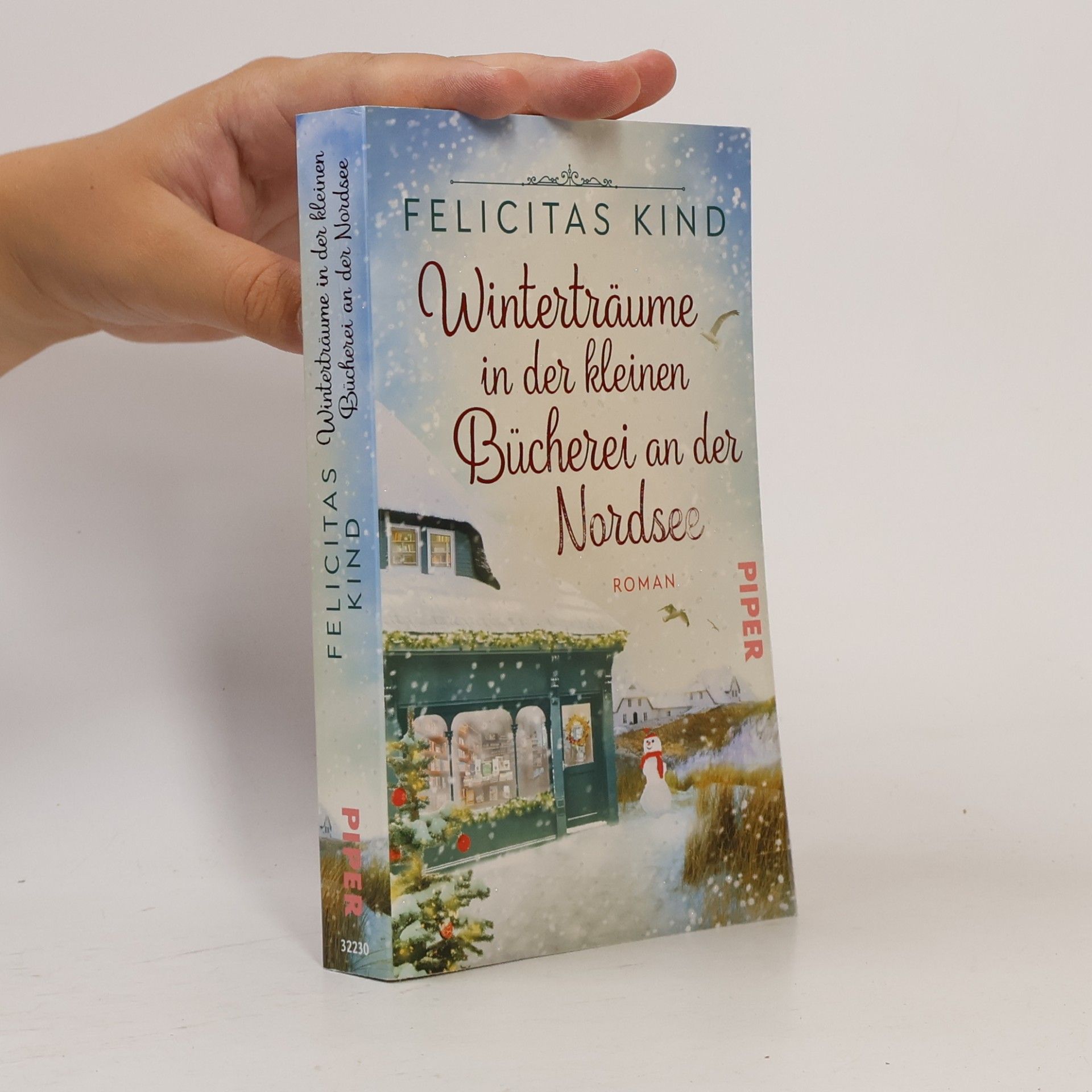 Felicitas Kind Winterträume in der kleinen Bücherei an der Nordsee