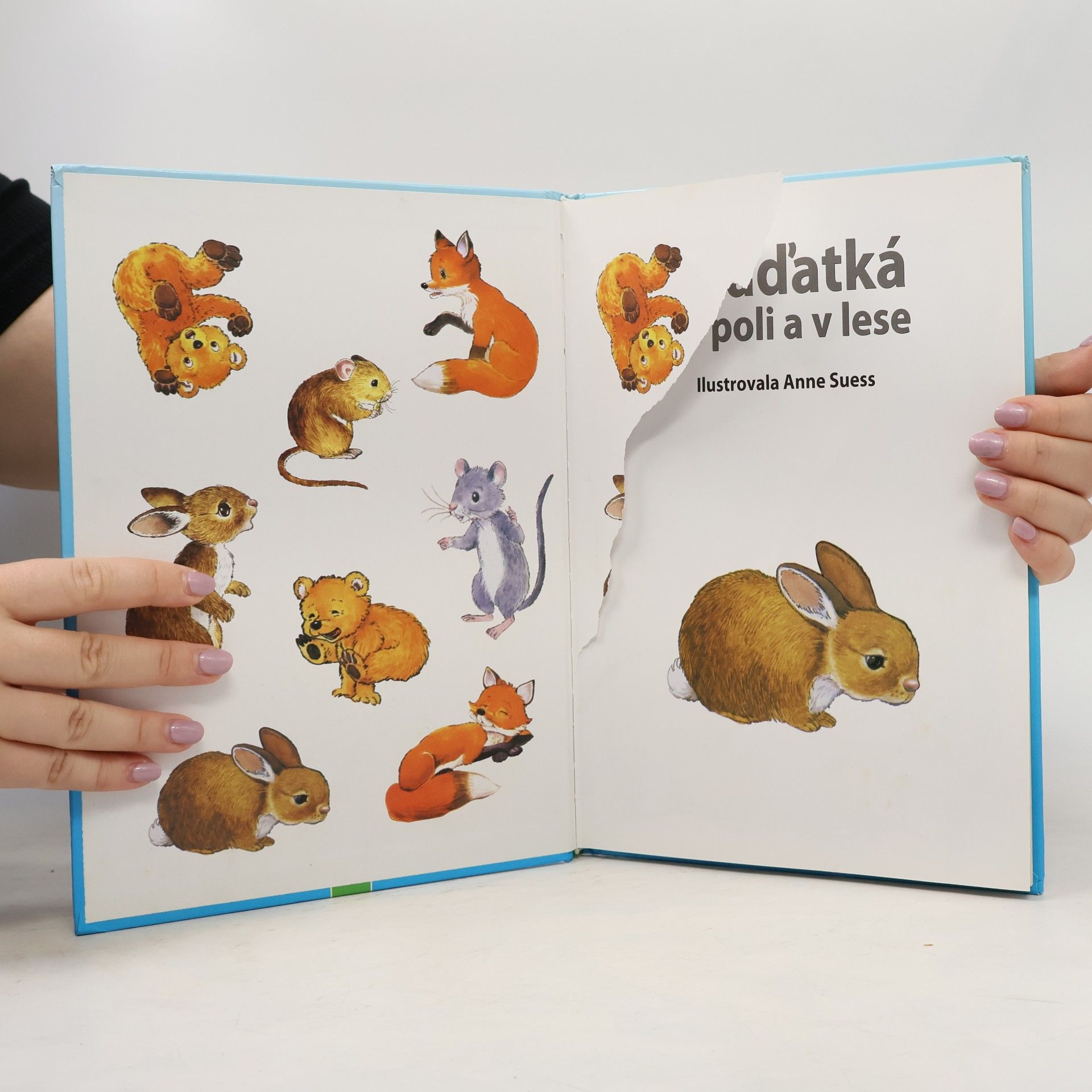 Jan Šindelka Mláďátka na poli a v lese