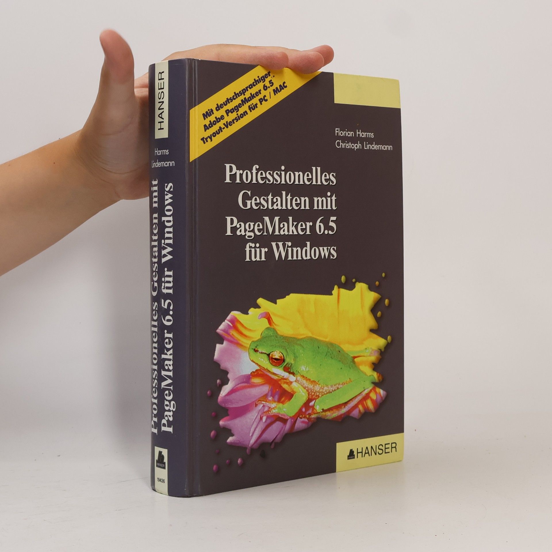 Lindemann, Christoph Professionelles Gestalten mit PageMaker 6.5 für Windows