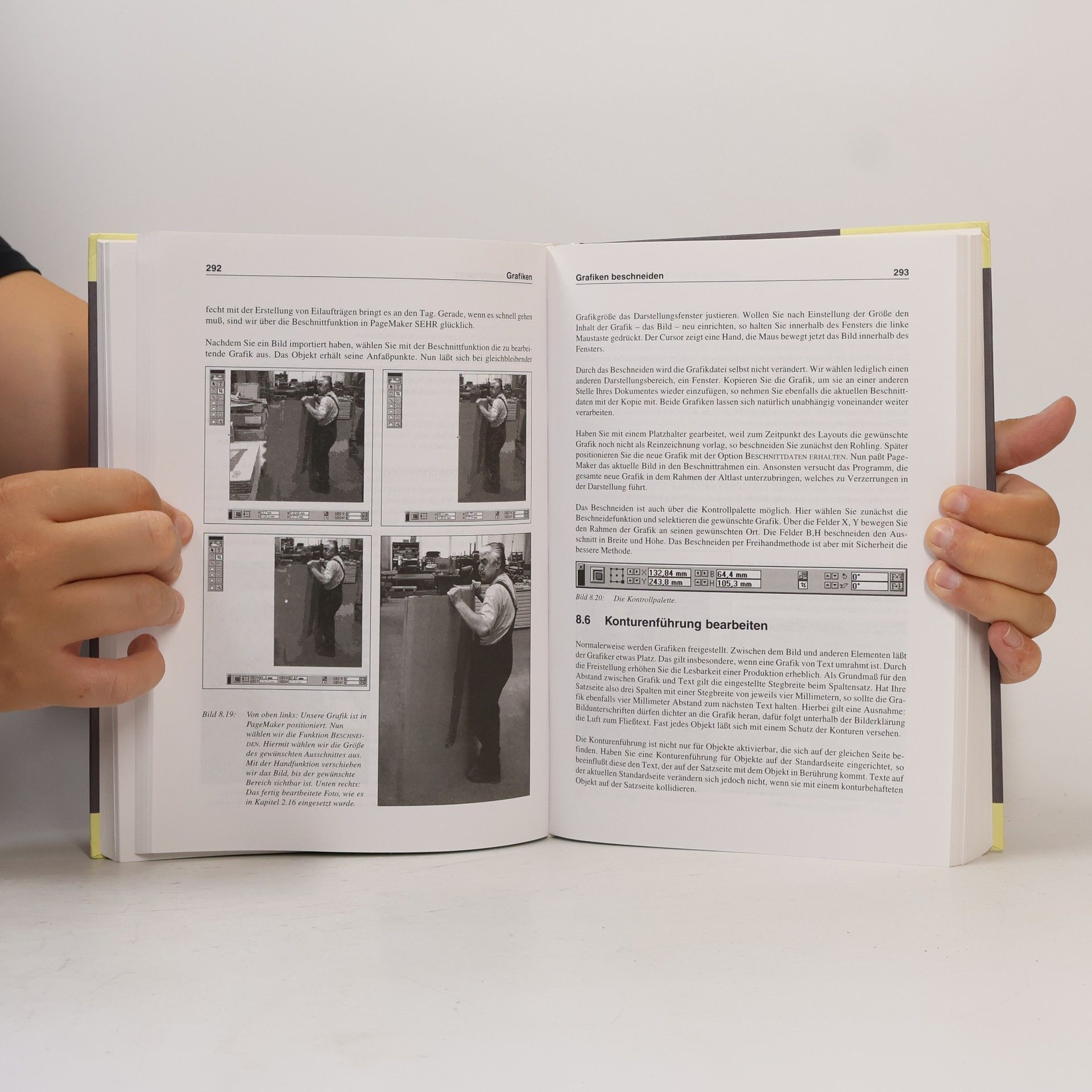 Florian Harms Professionelles Gestalten mit PageMaker 6.5 für Windows