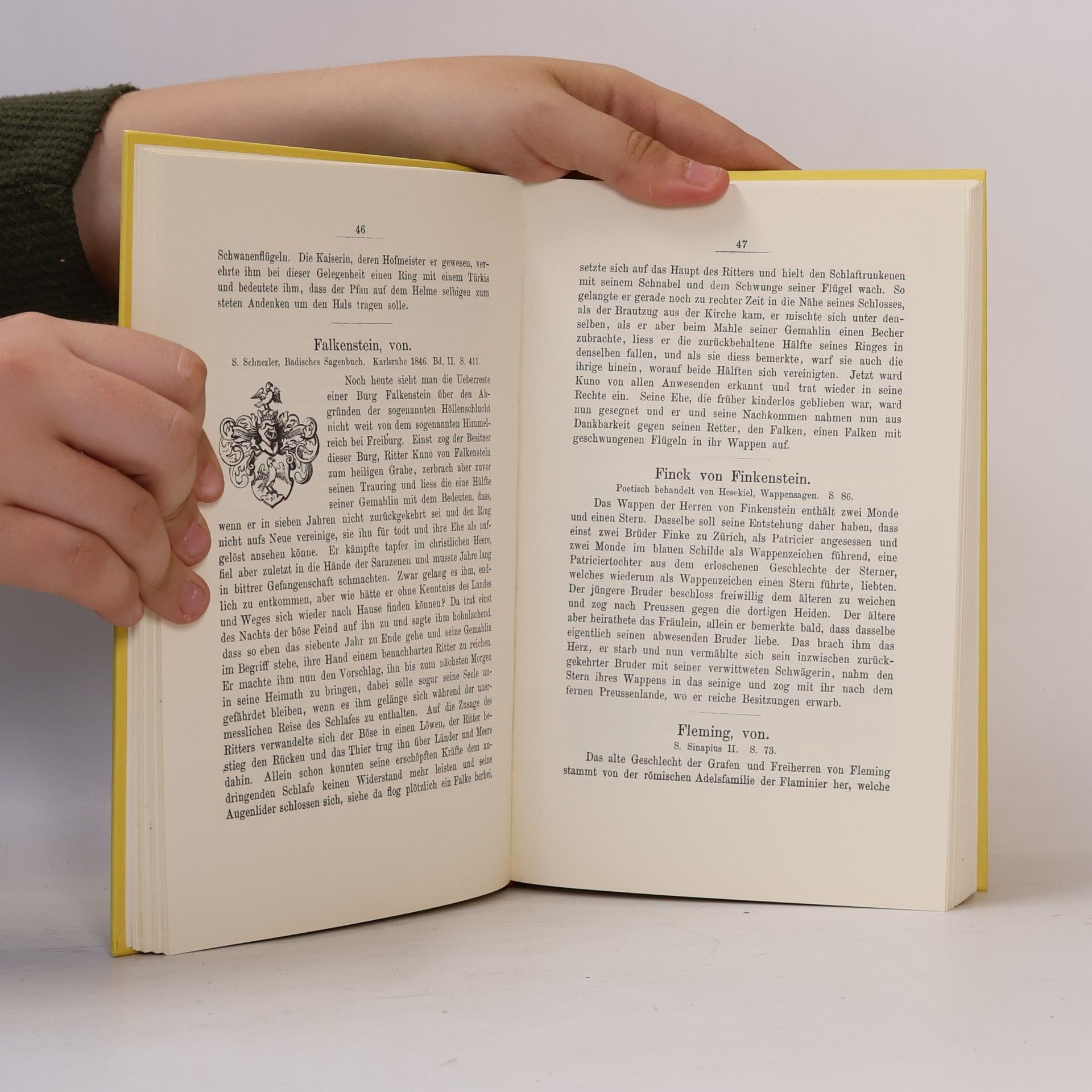 Johann Georg Theodor Grässe Deutsche Adelsgeschichte