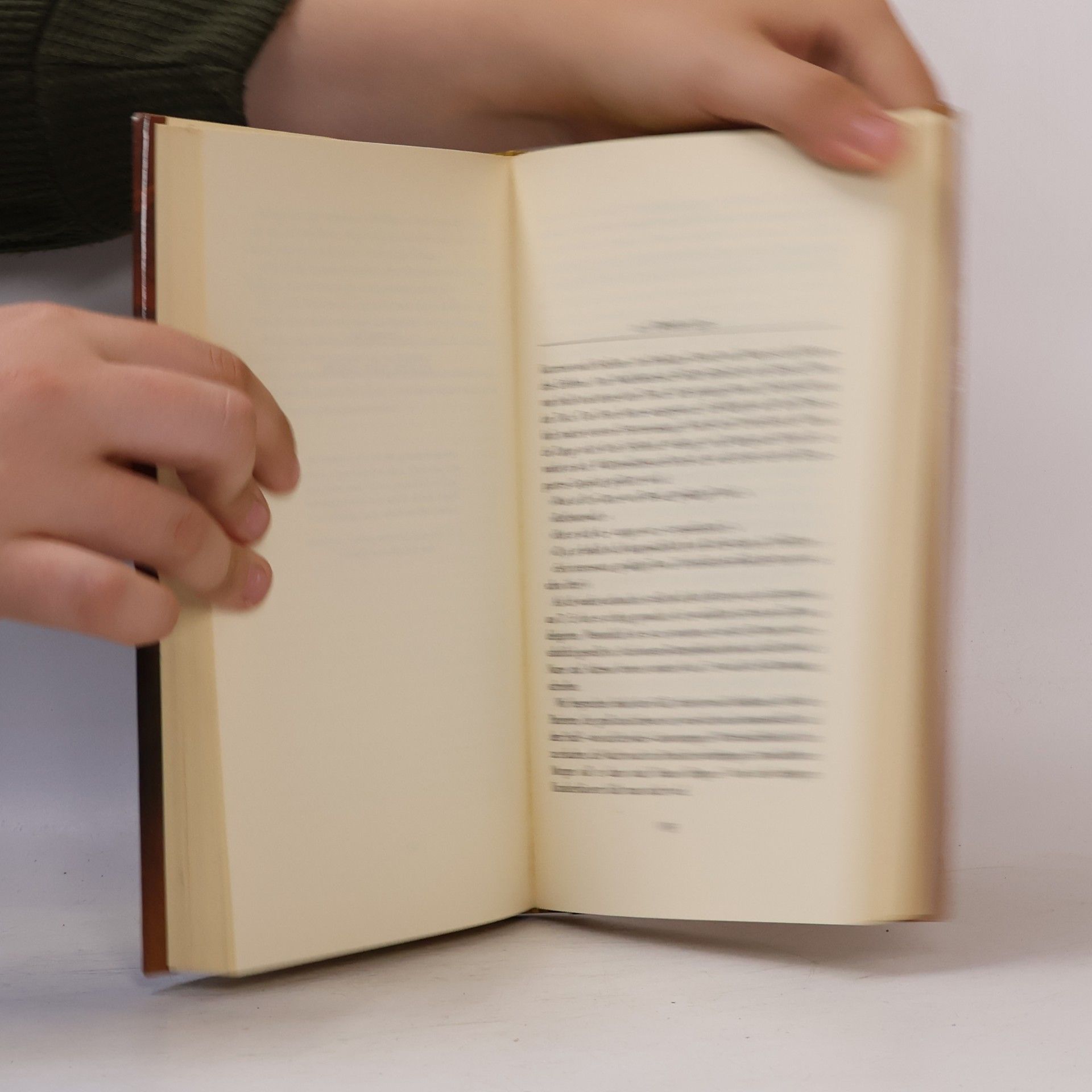 Paul Egon Heinrich Lüth Tagebuch eines Landarztes