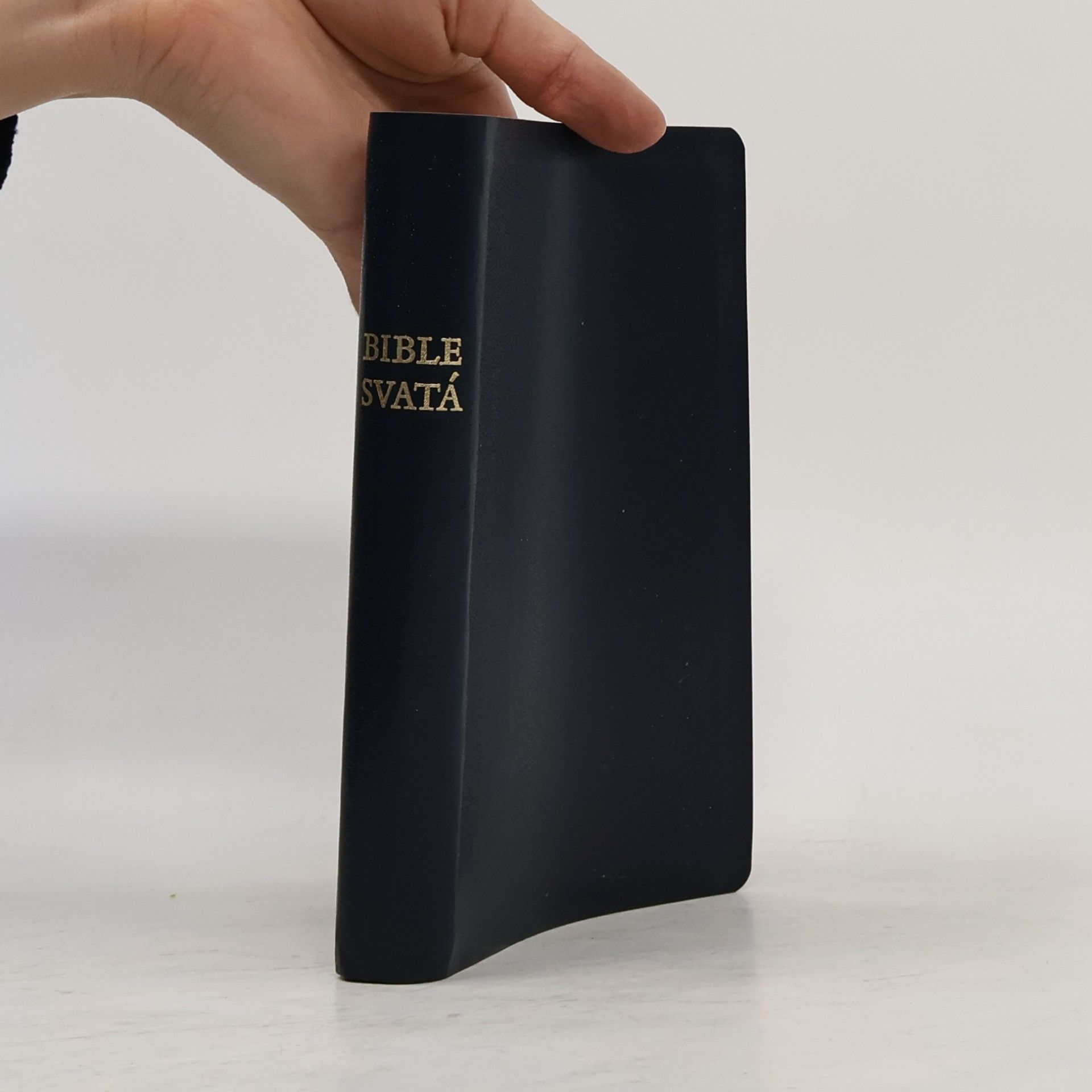 Autorenkollektiv Bible svatá