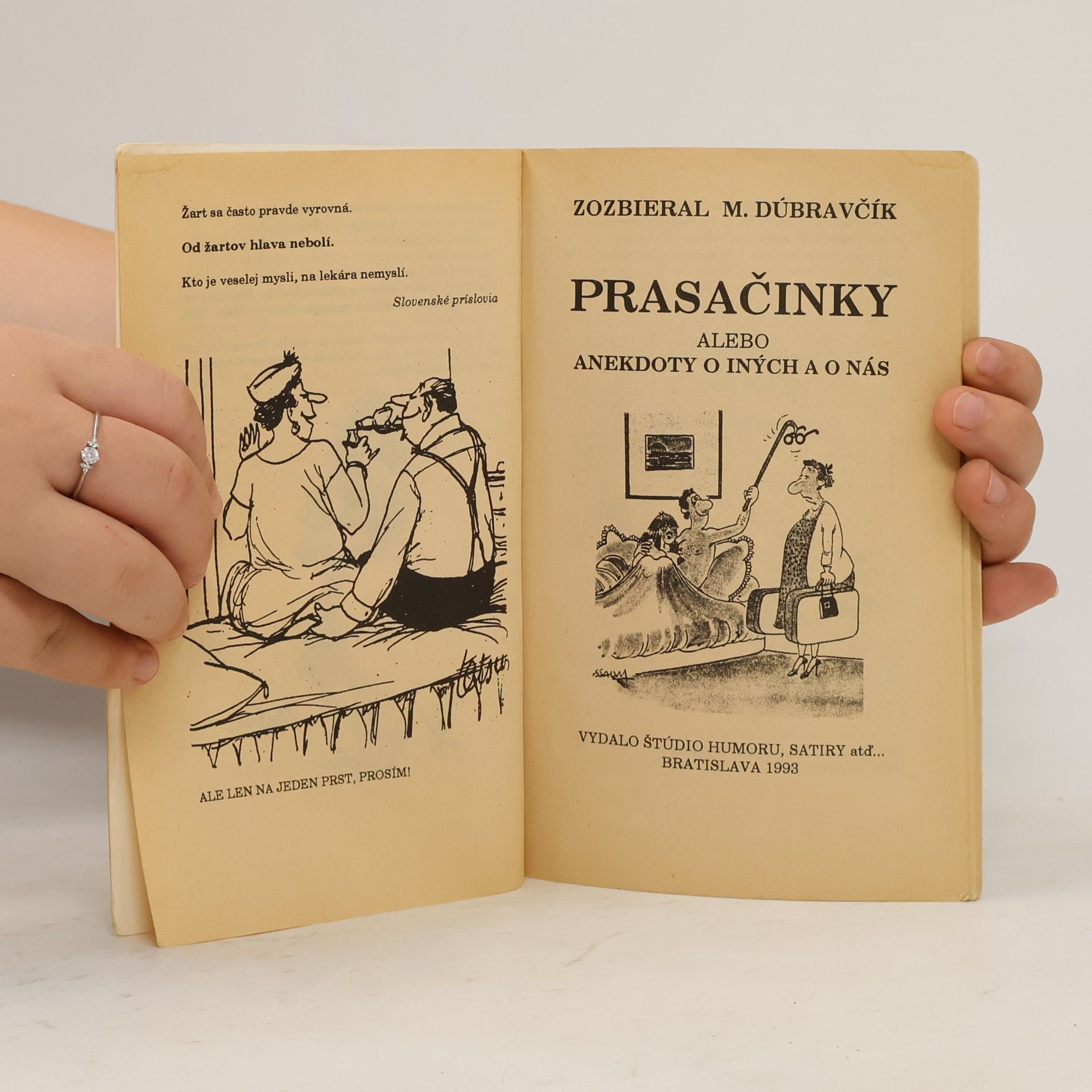 Autorenkollektiv Prasačinky alebo anekdoty o iných a o nás