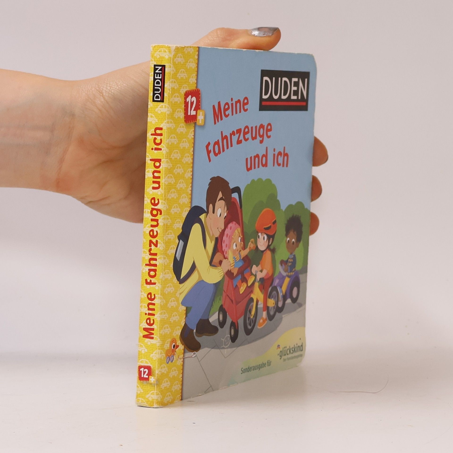 Autorenkollektiv Meine Fahrzeuge und ich