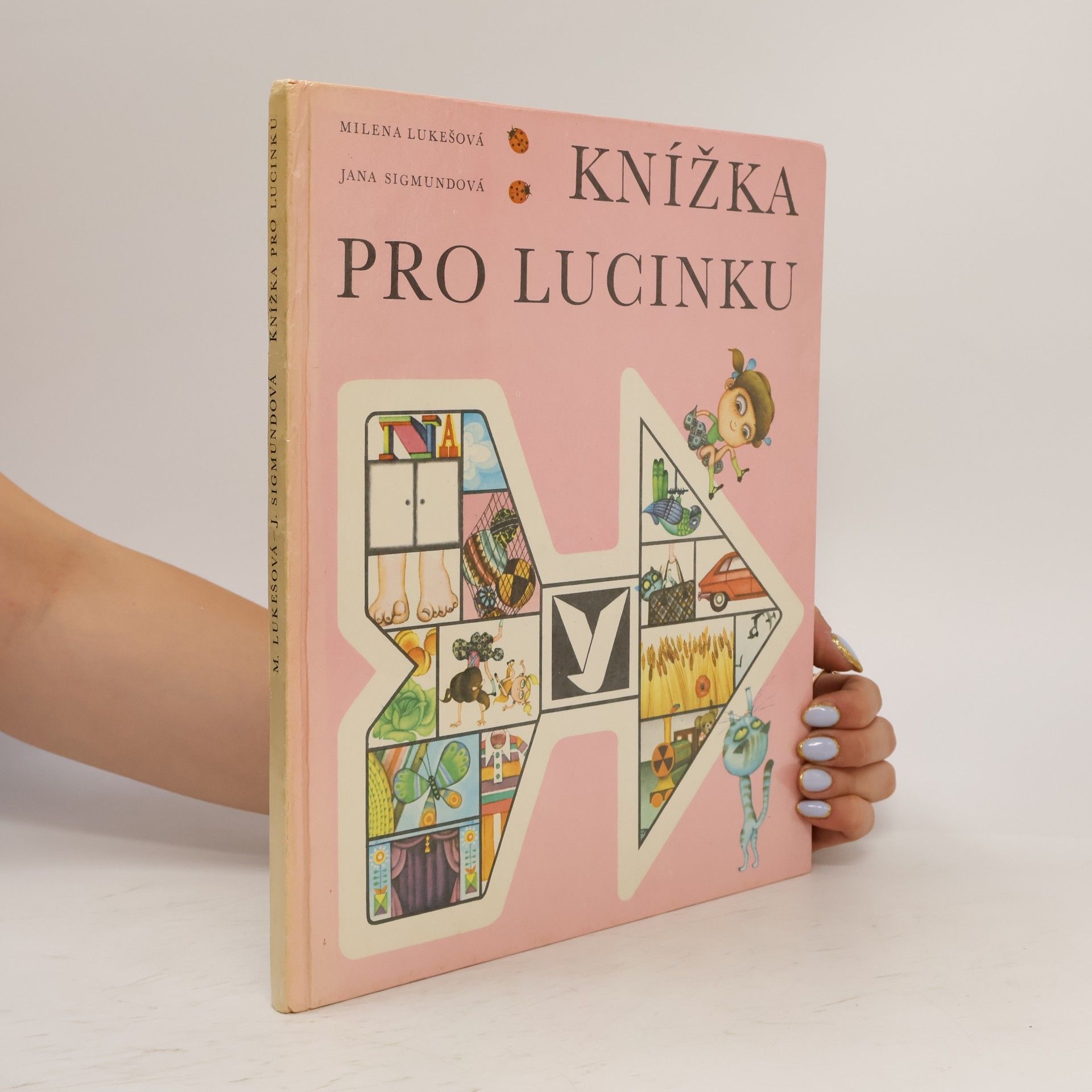 Milena Lukešová Knížka pro Lucinku