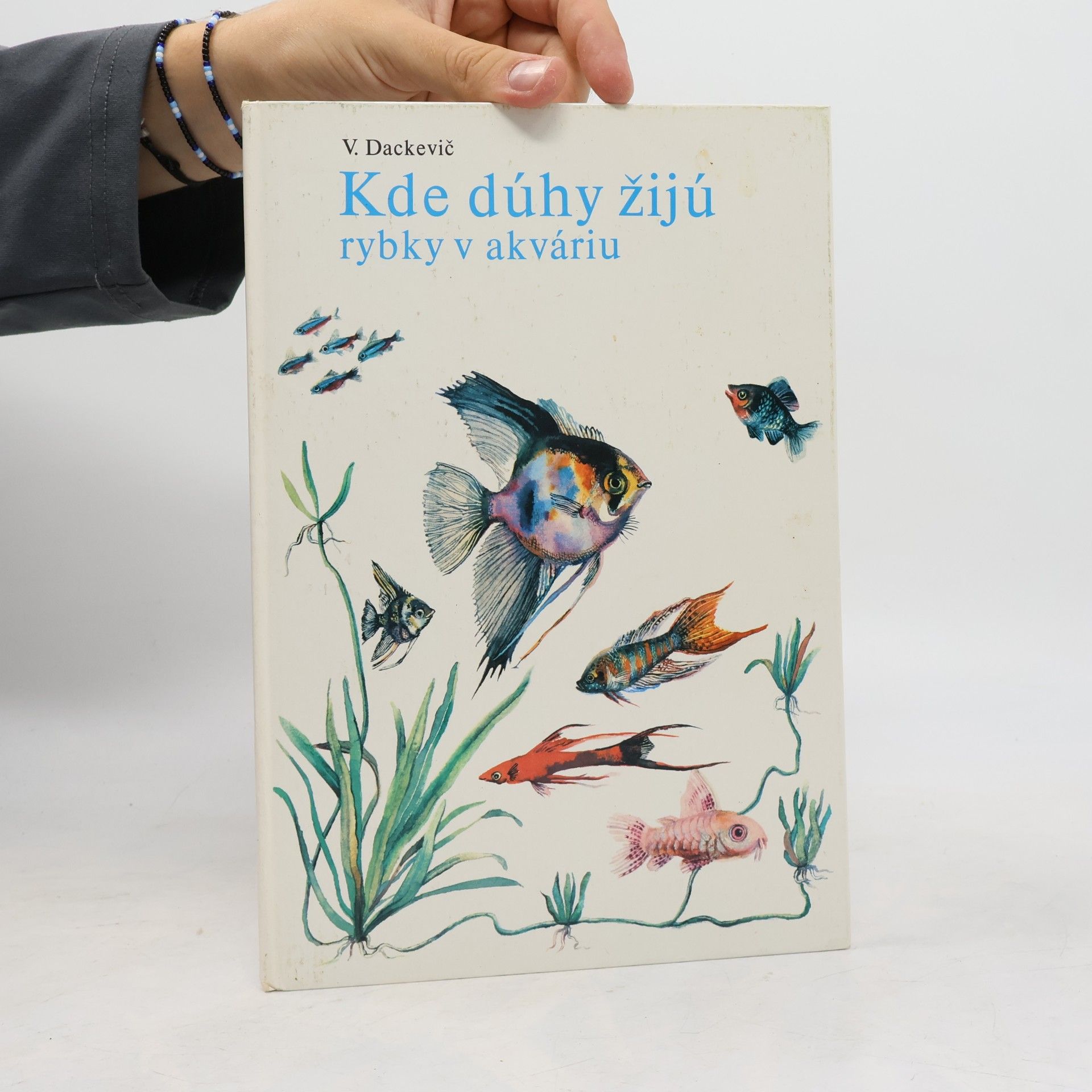 V. Dackevič Kde dúhy žijú. Rybky v akváriu