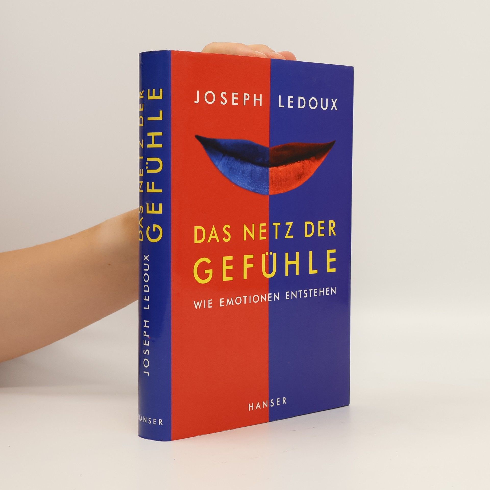 Joseph Ledoux Das Netz der Gefühle
