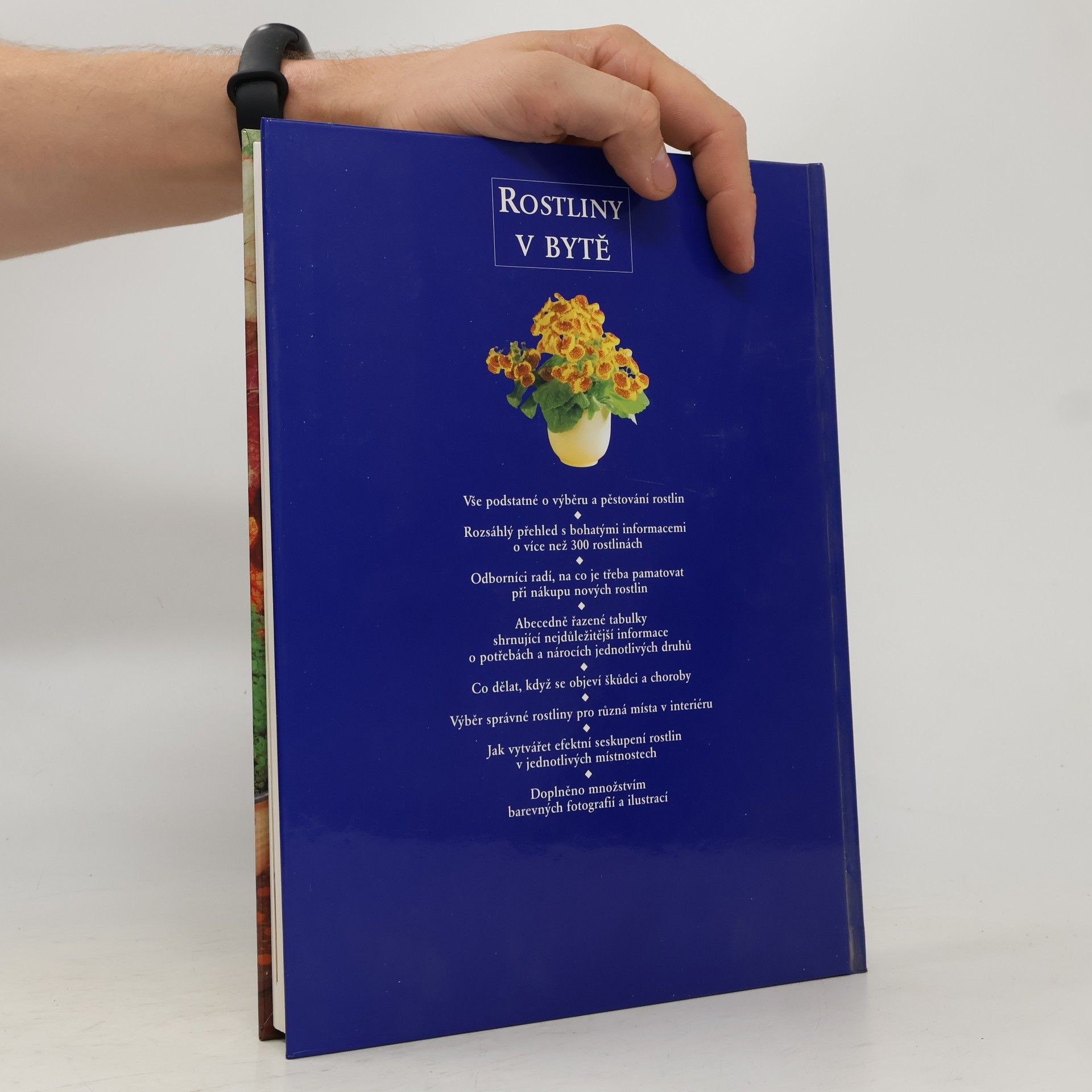 Jane Courtier Rostliny v bytě