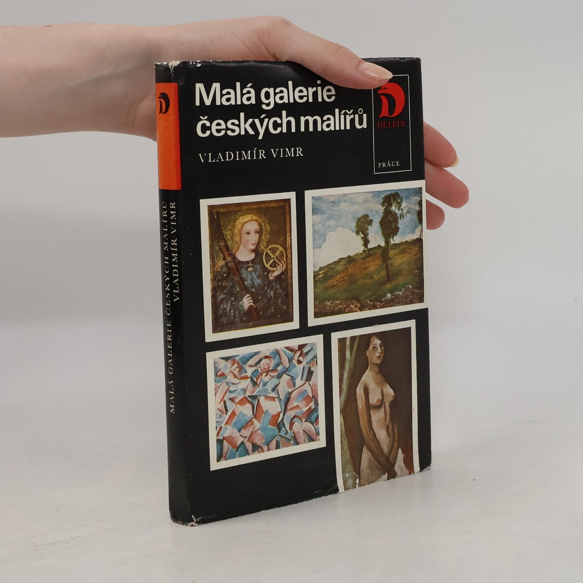 Vladimír Vimr Malá galerie českých malířů