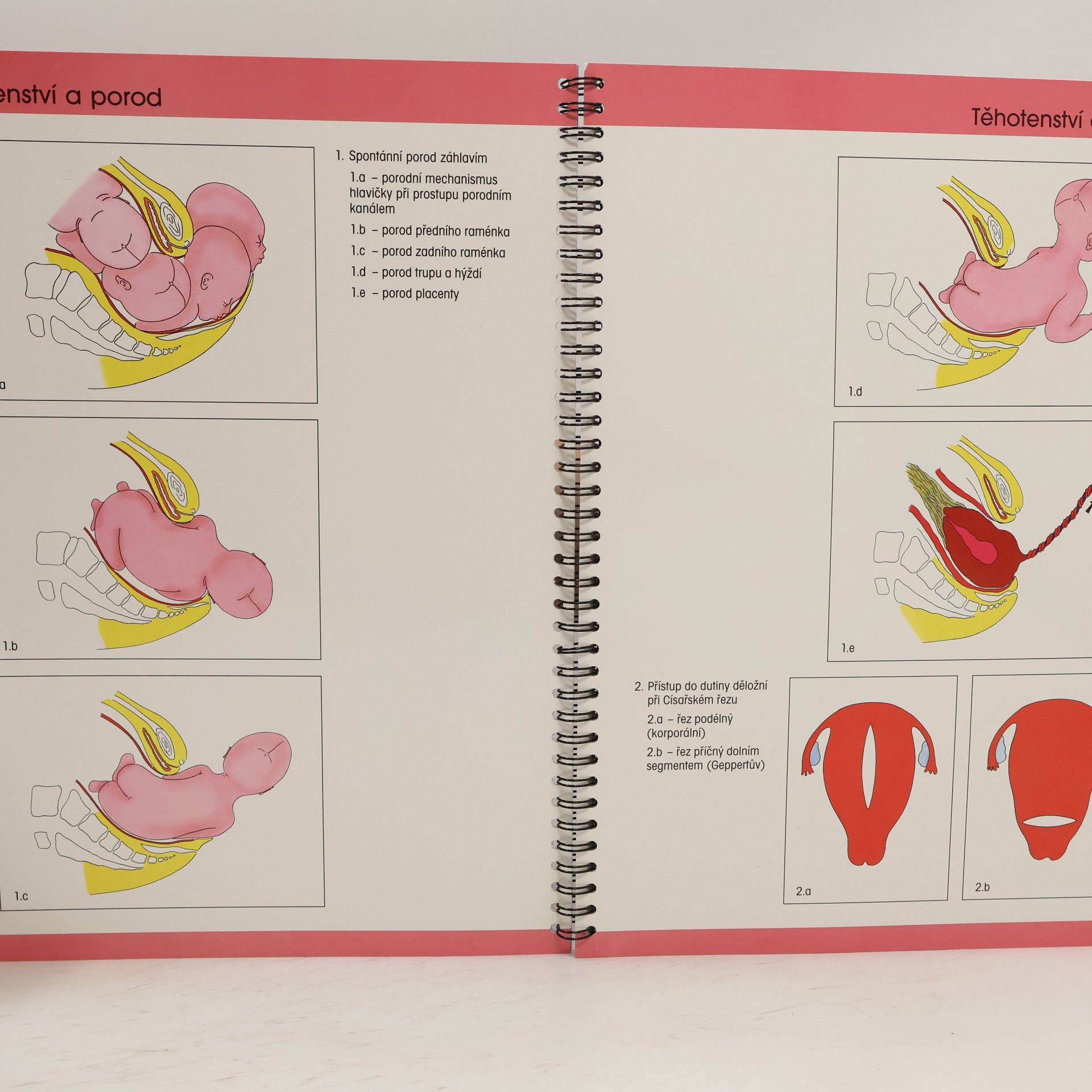 Kolektiv autorů Obrazový atlas gynekologie a porodnictví
